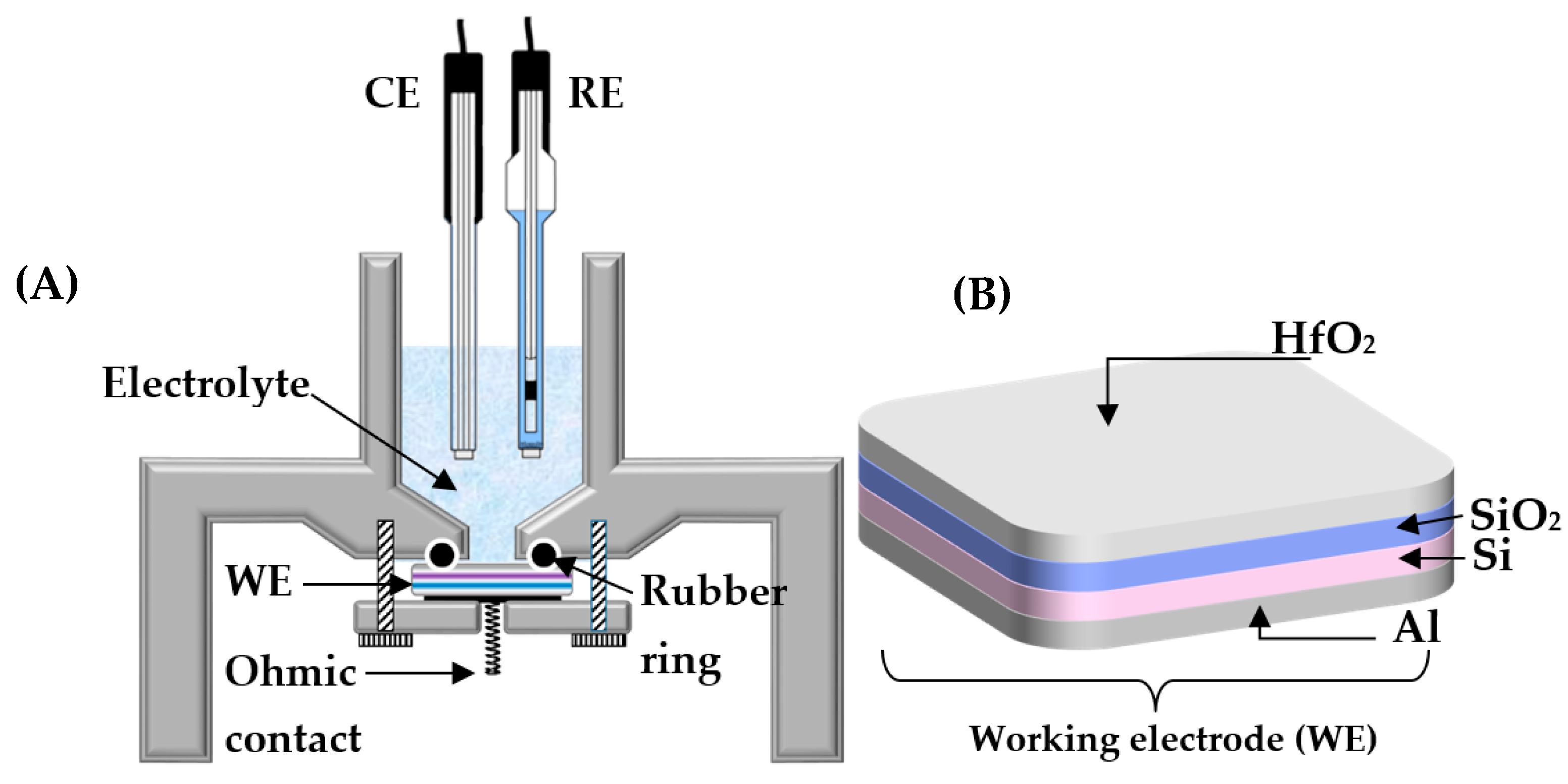 Chemosensors 09 00013 g001