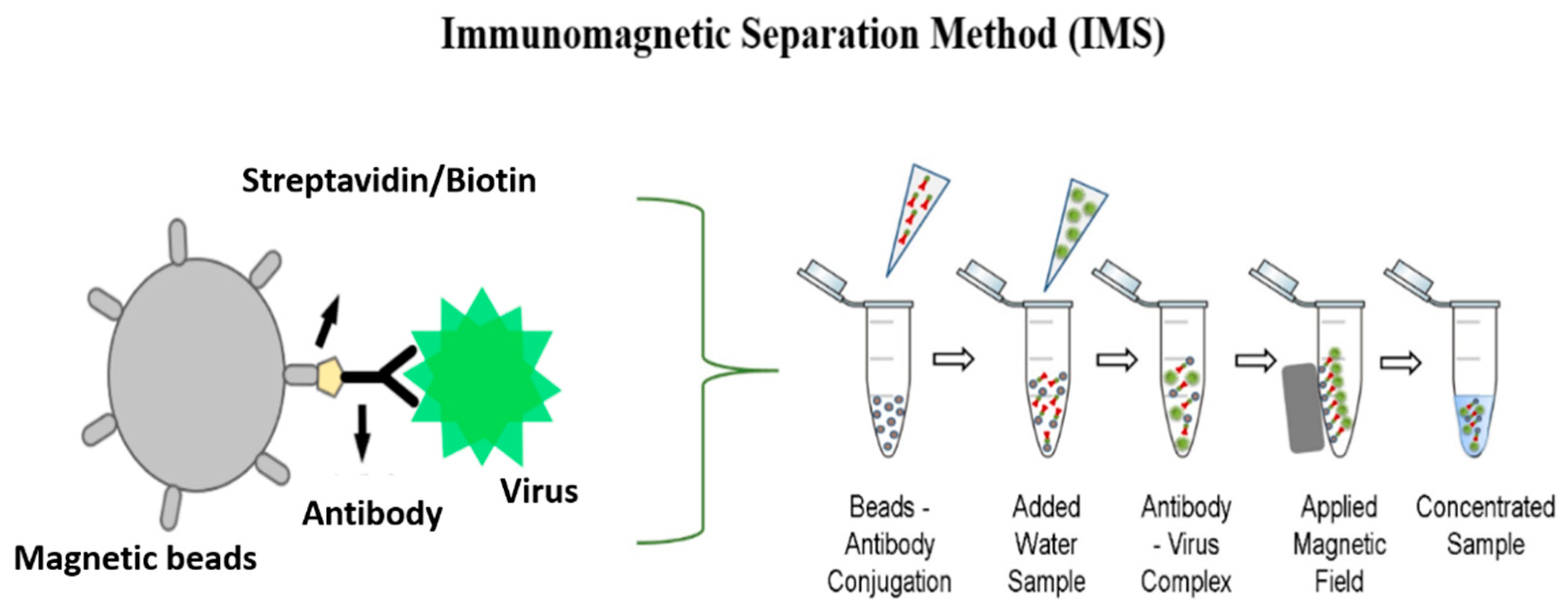 Chemosensors 09 00019 g001 Chemosensors 09 00019 g001