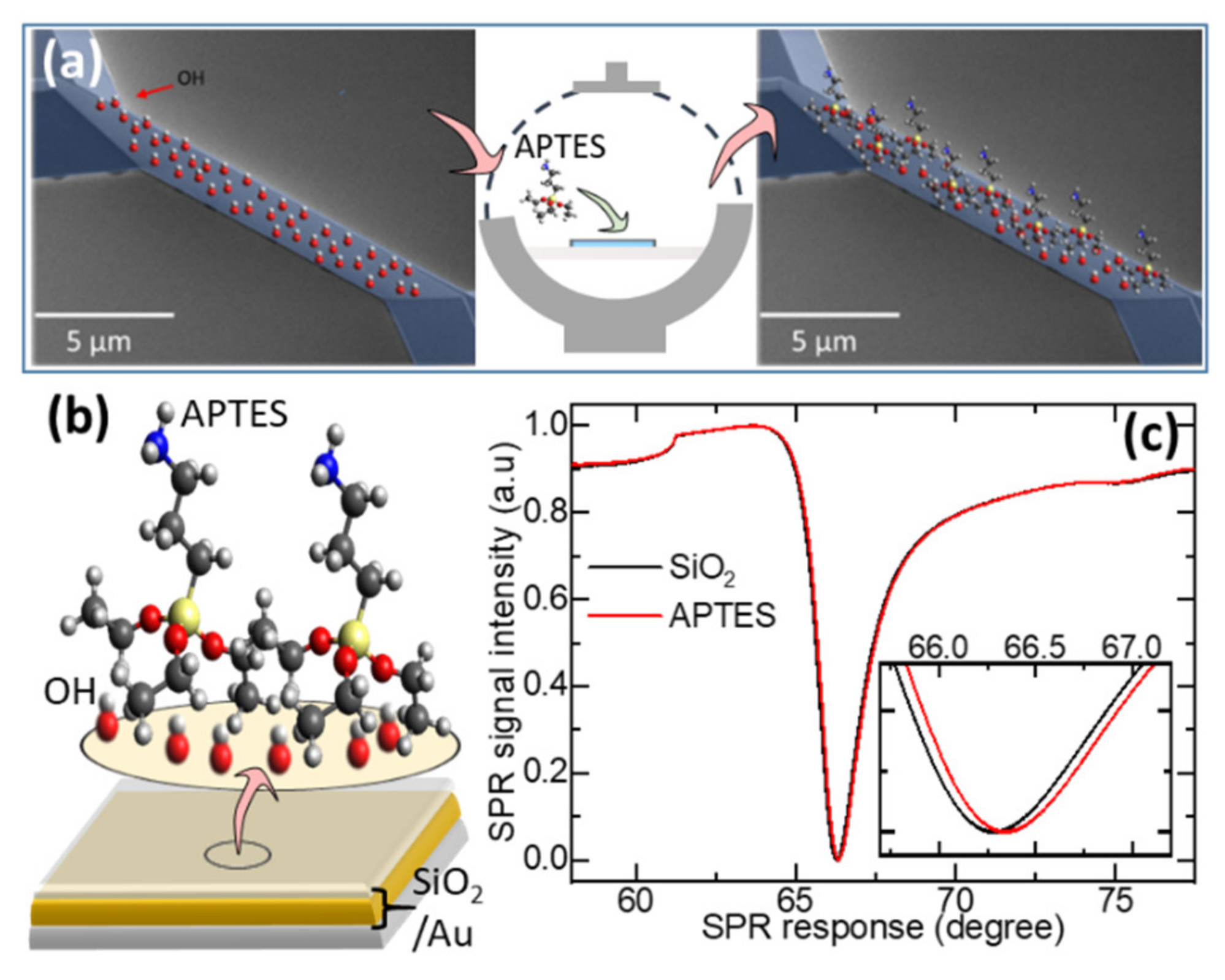 Chemosensors 09 00020 g002 Chemosensors 09 00020 g002