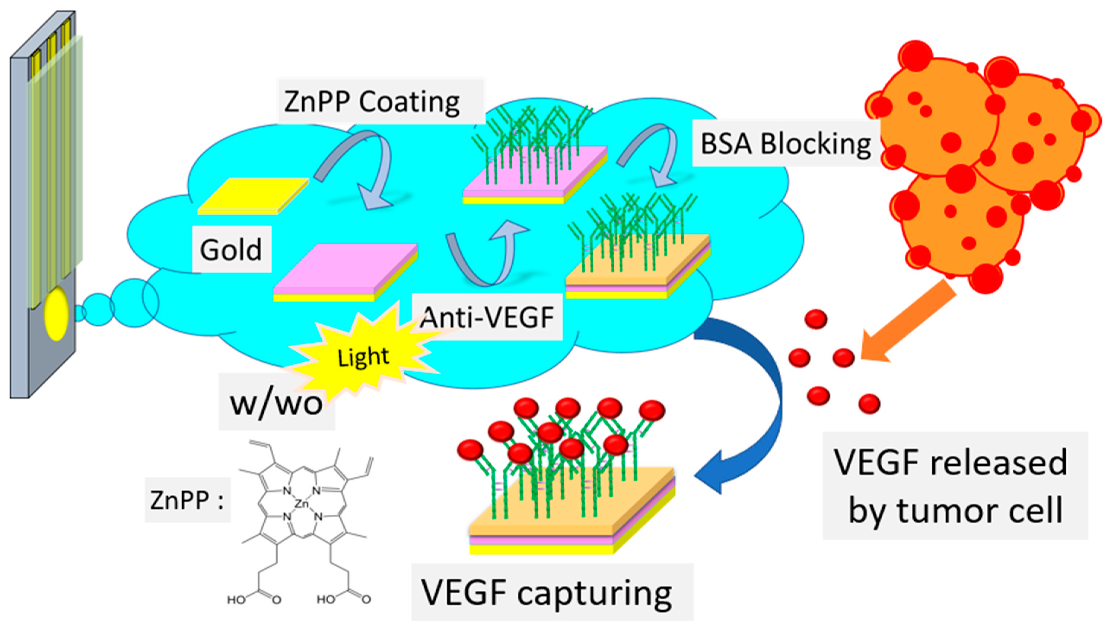 Chemosensors 09 00021 g001