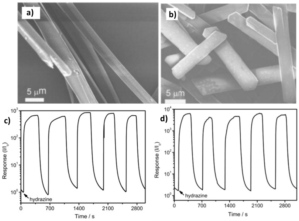 Chemosensors 09 00030 g006