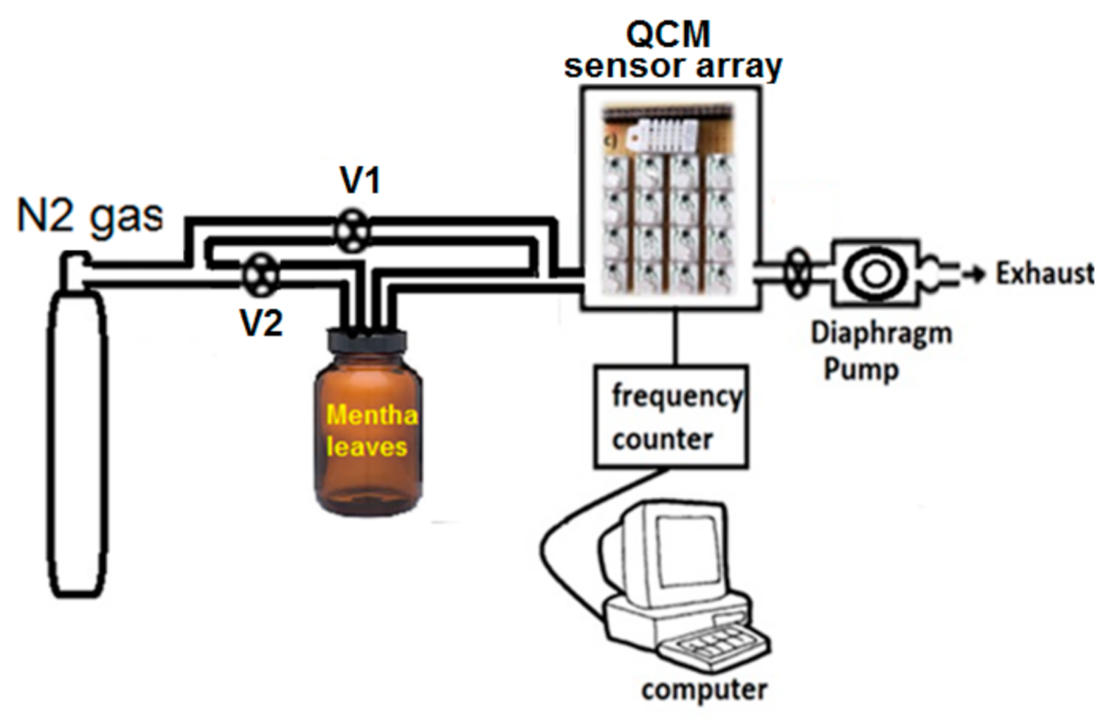 Chemosensors 09 00031 g001