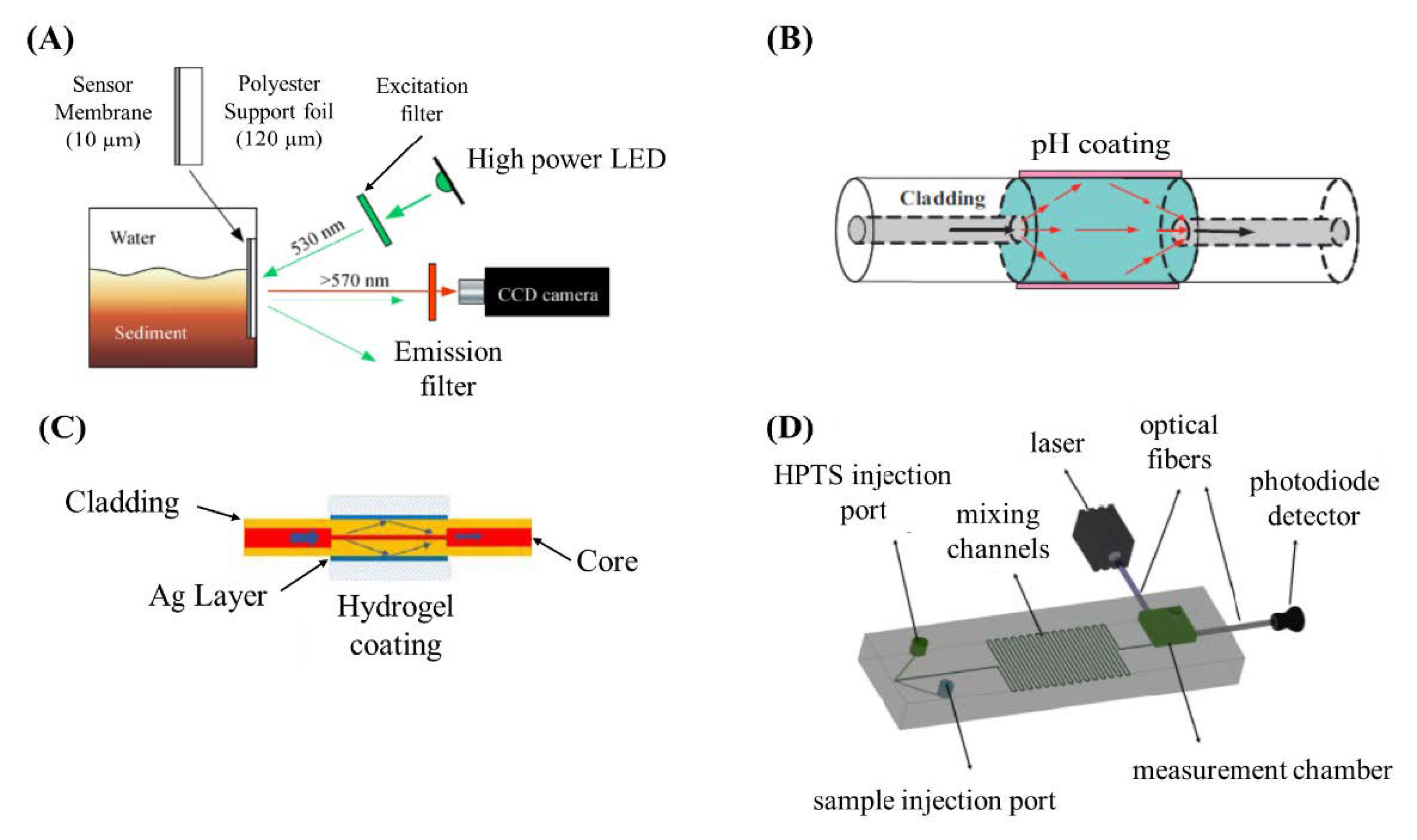 Chemosensors 09 00033 g002
