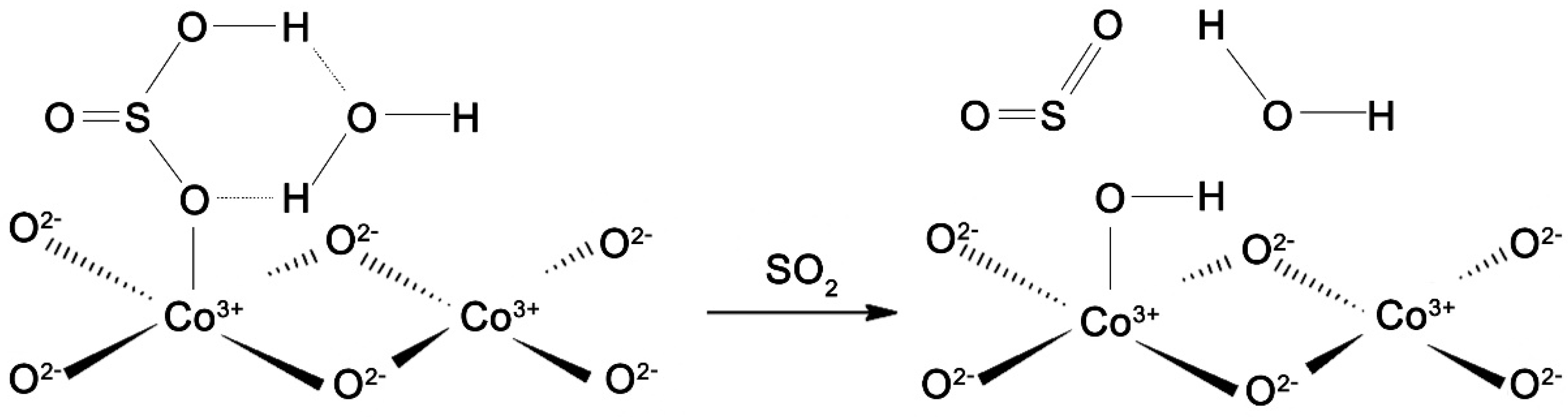 Chemosensors 09 00034 g012