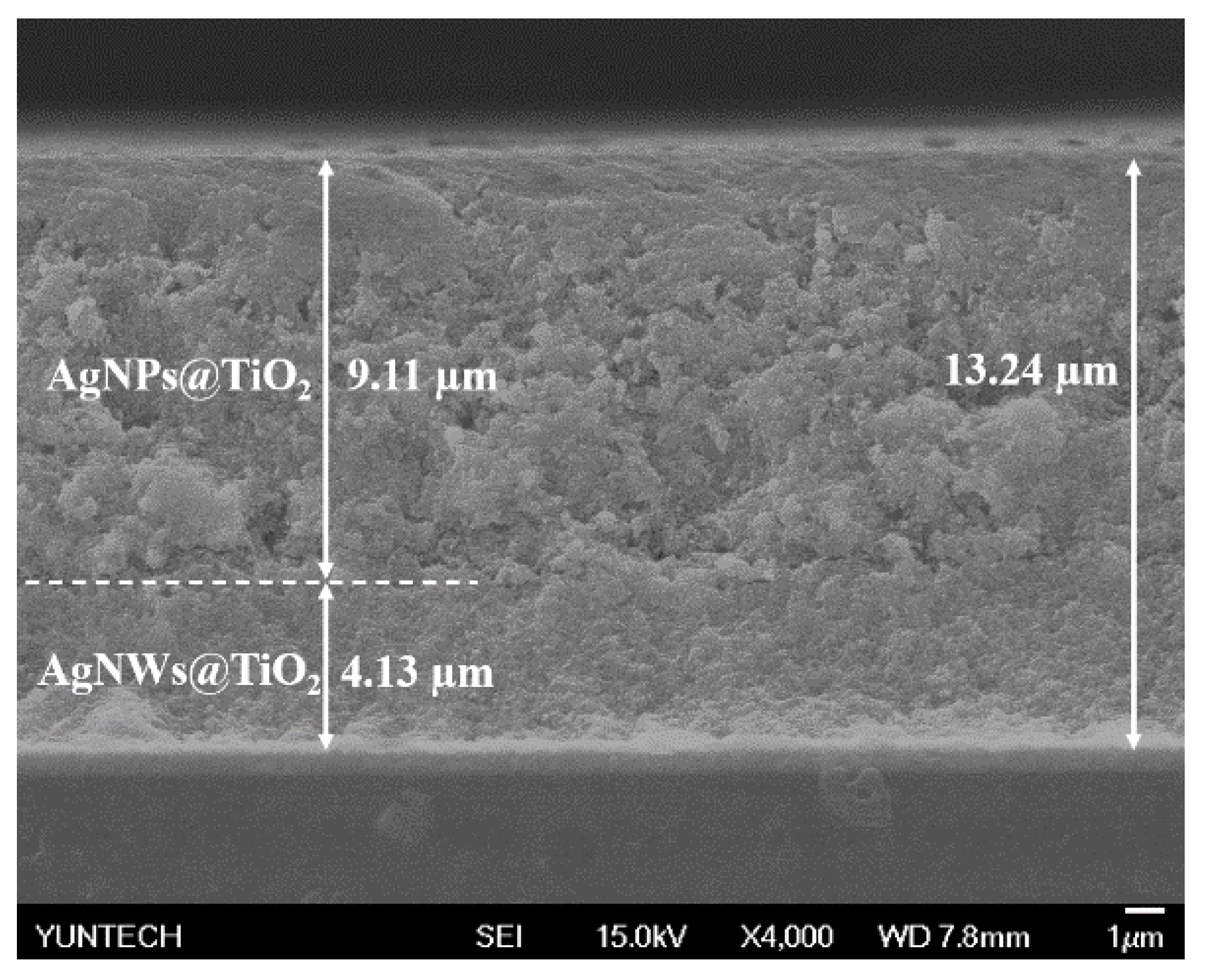 Chemosensors 09 00036 g002