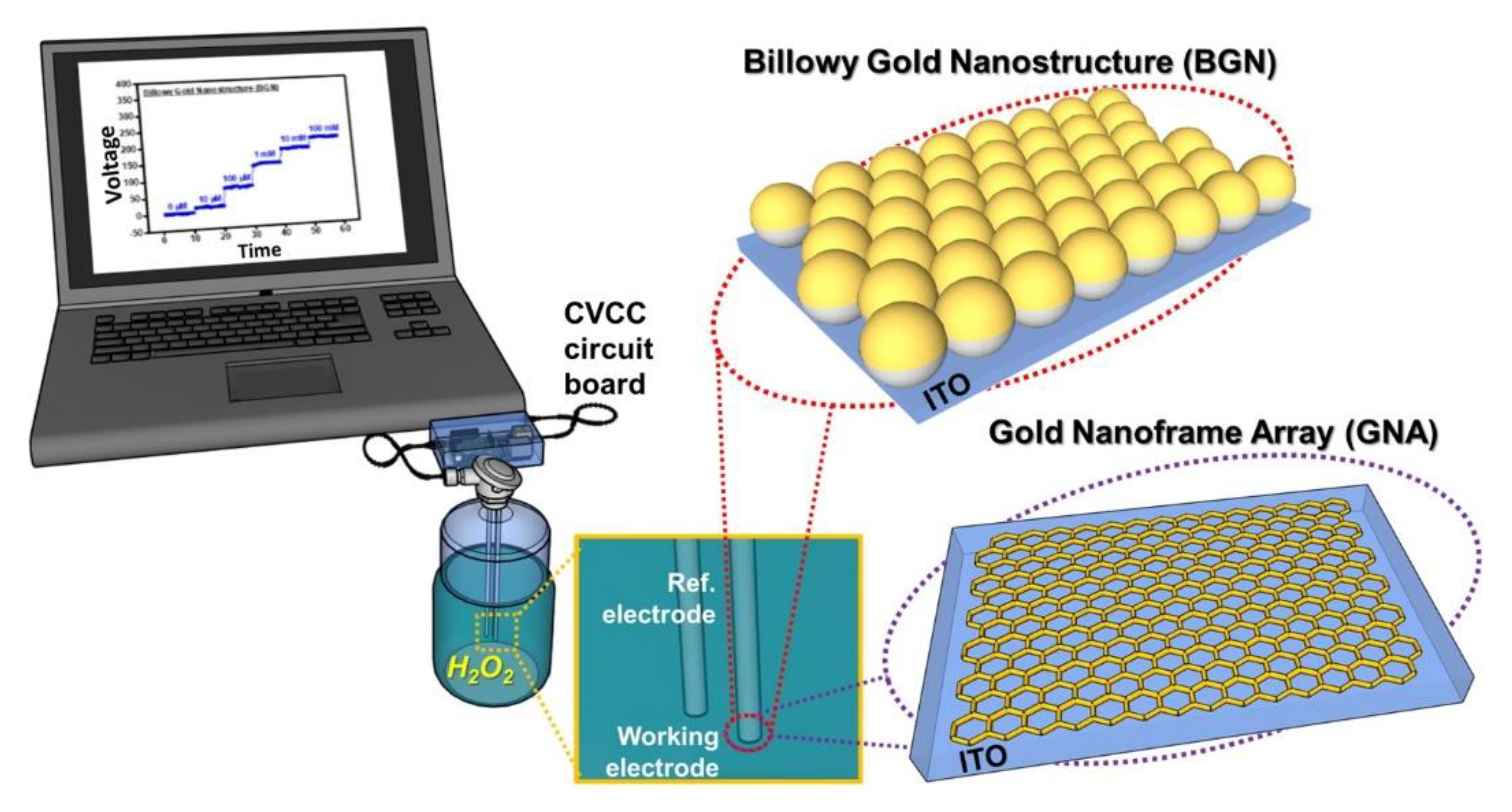 Chemosensors 09 00037 g001