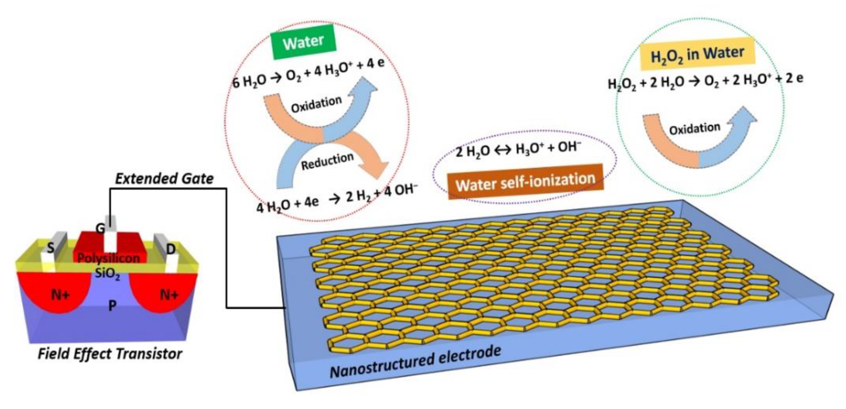 Chemosensors 09 00037 g007
