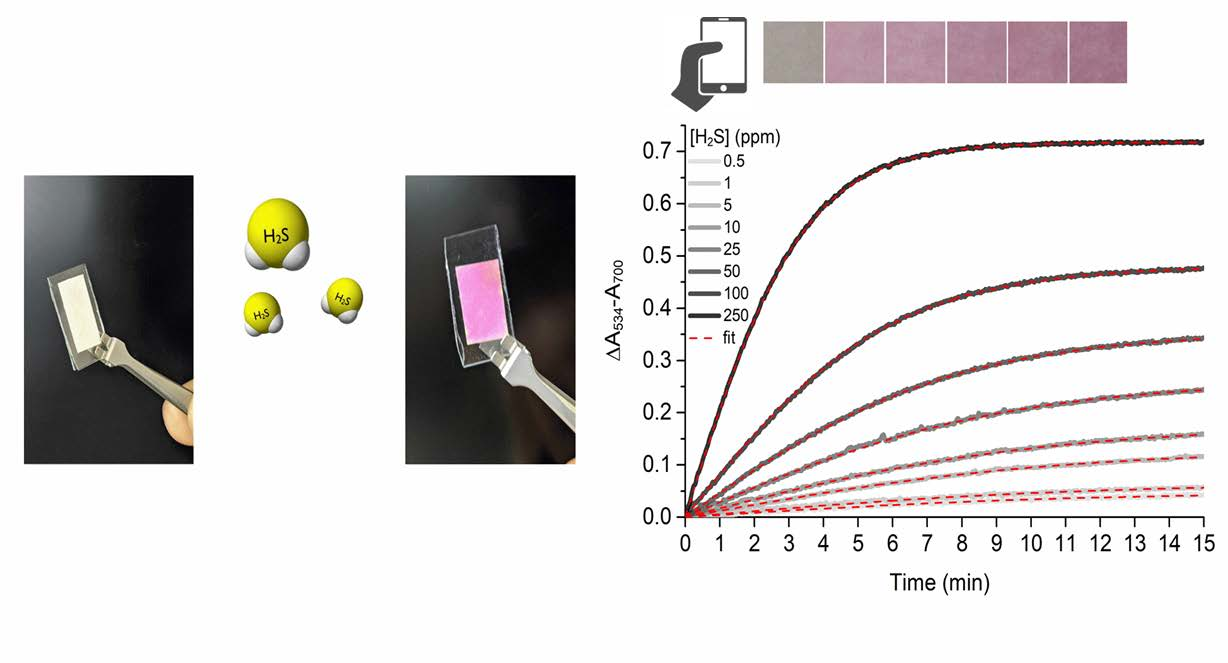 Chemosensors Free Full Text A Paper Based Ultrasensitive Optical Sensor For The Selective Detection Of H2s Vapors Html