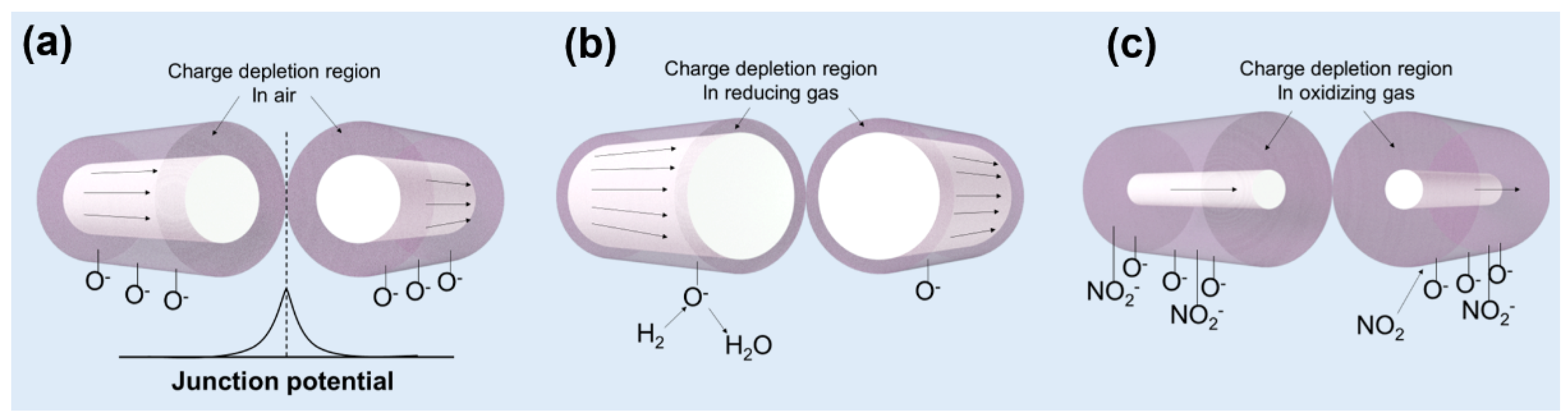 Chemosensors 09 00041 g024 Chemosensors 09 00041 g024