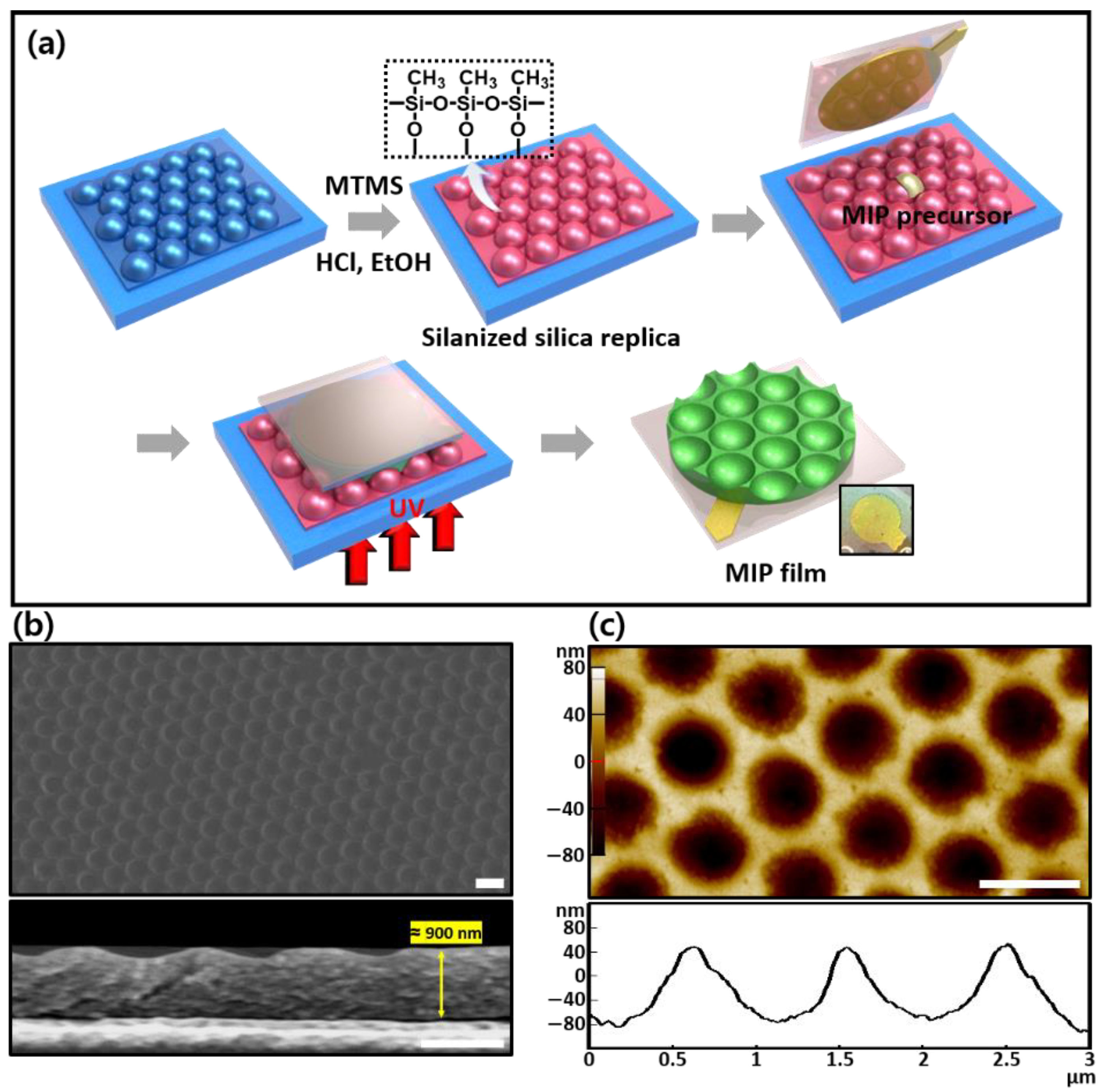 Chemosensors 09 00043 g003
