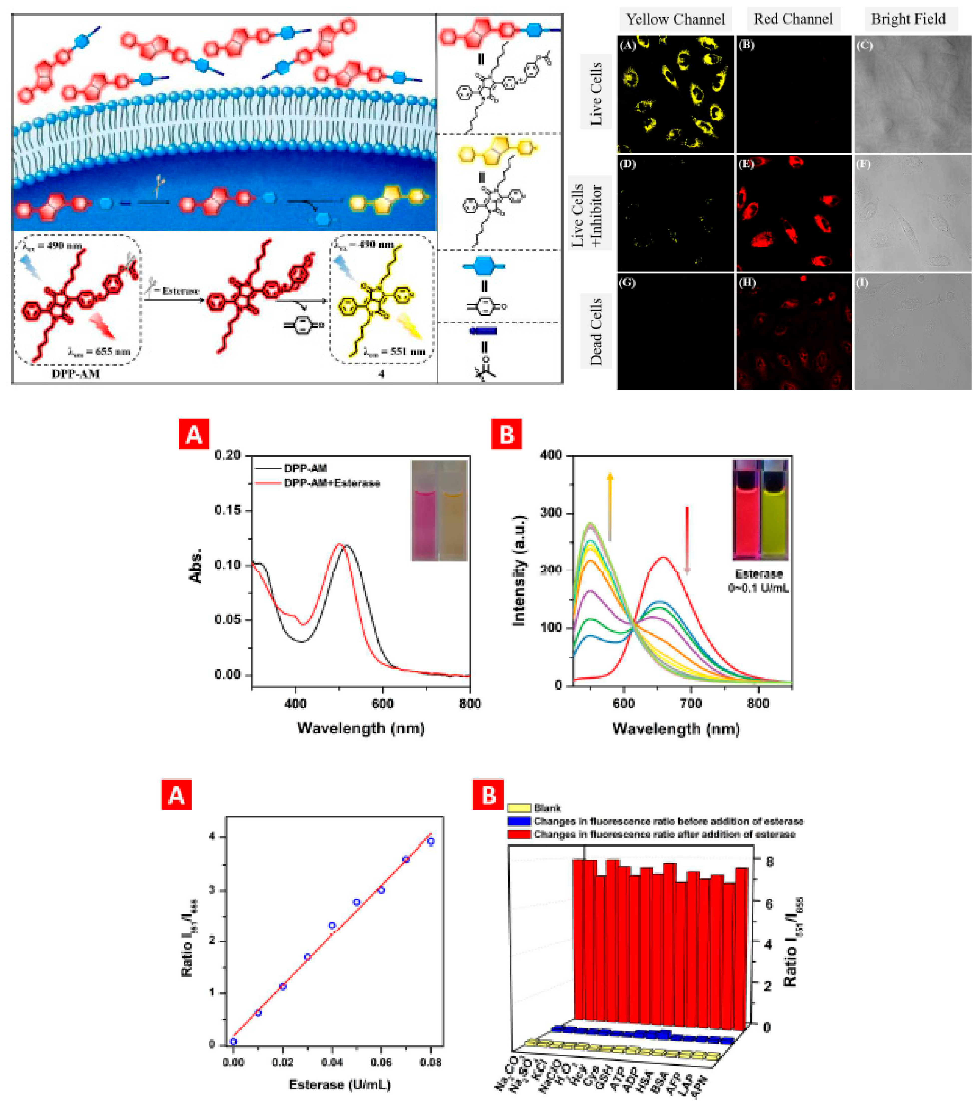 Chemosensors 09 00044 g013