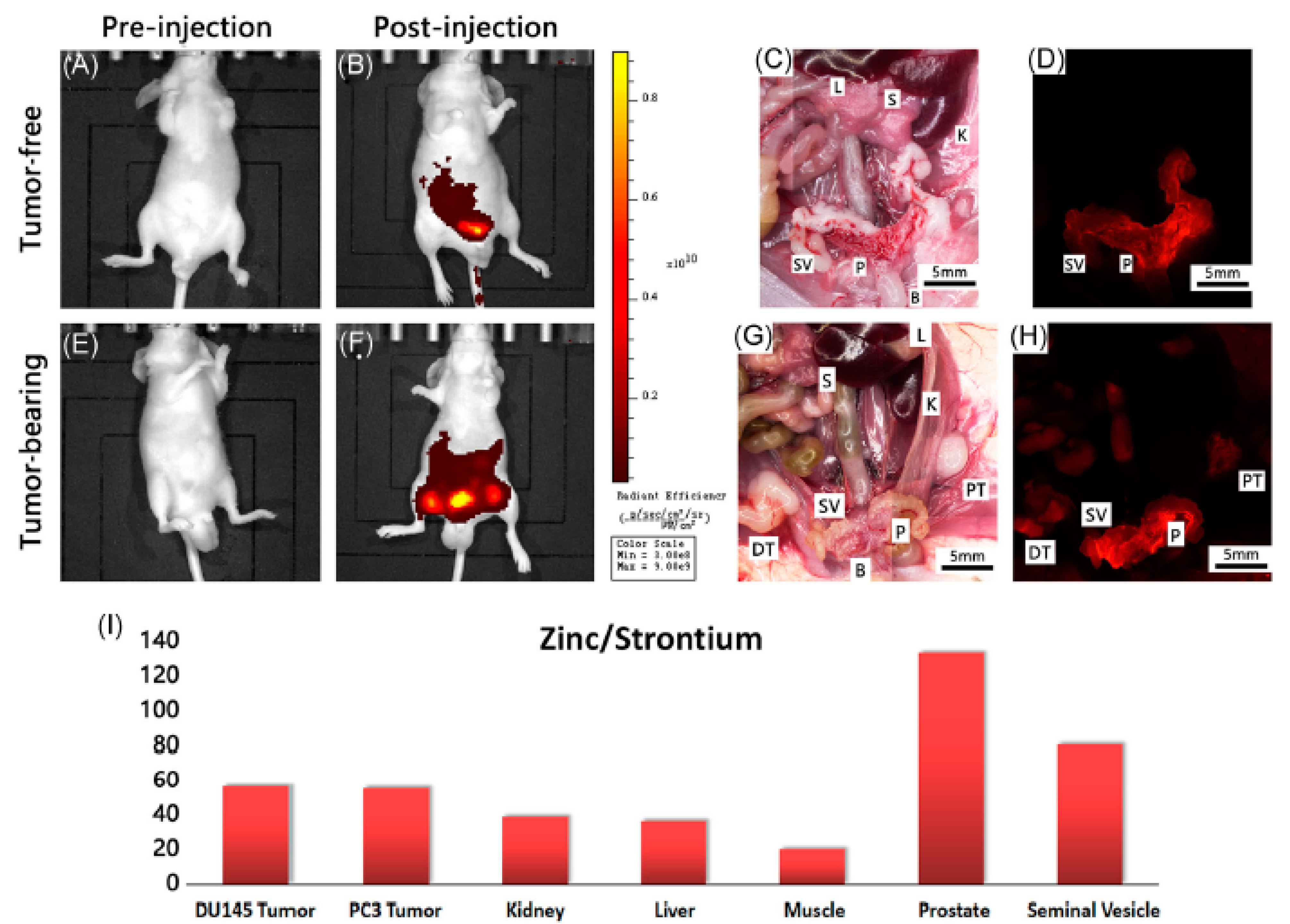 Chemosensors 09 00044 g017b