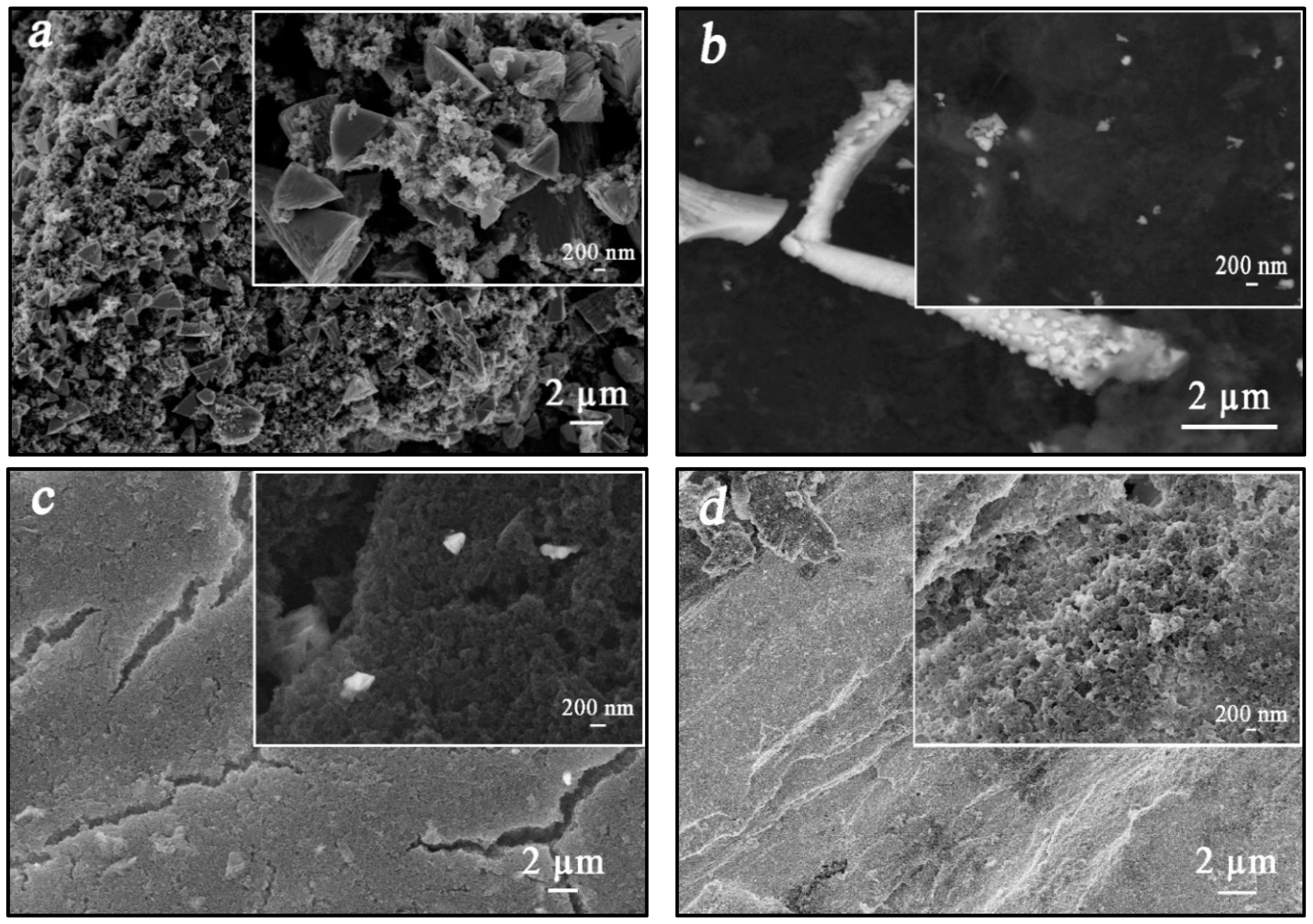 Chemosensors 09 00056 g002
