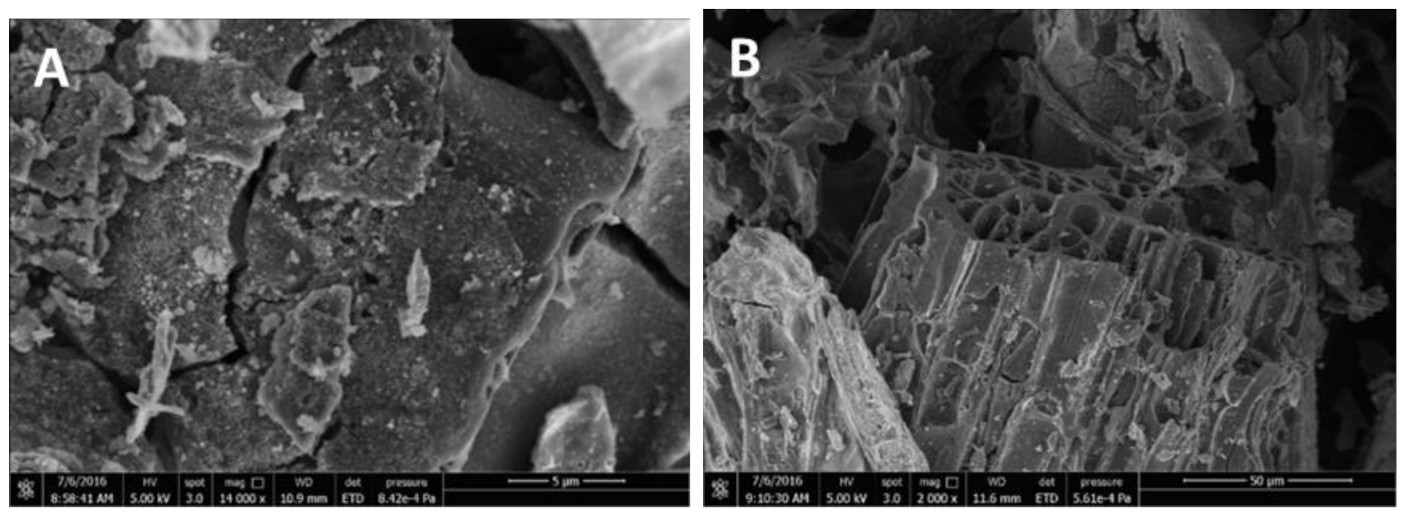 Chemosensors 09 00057 g003a Chemosensors 09 00057 g003a