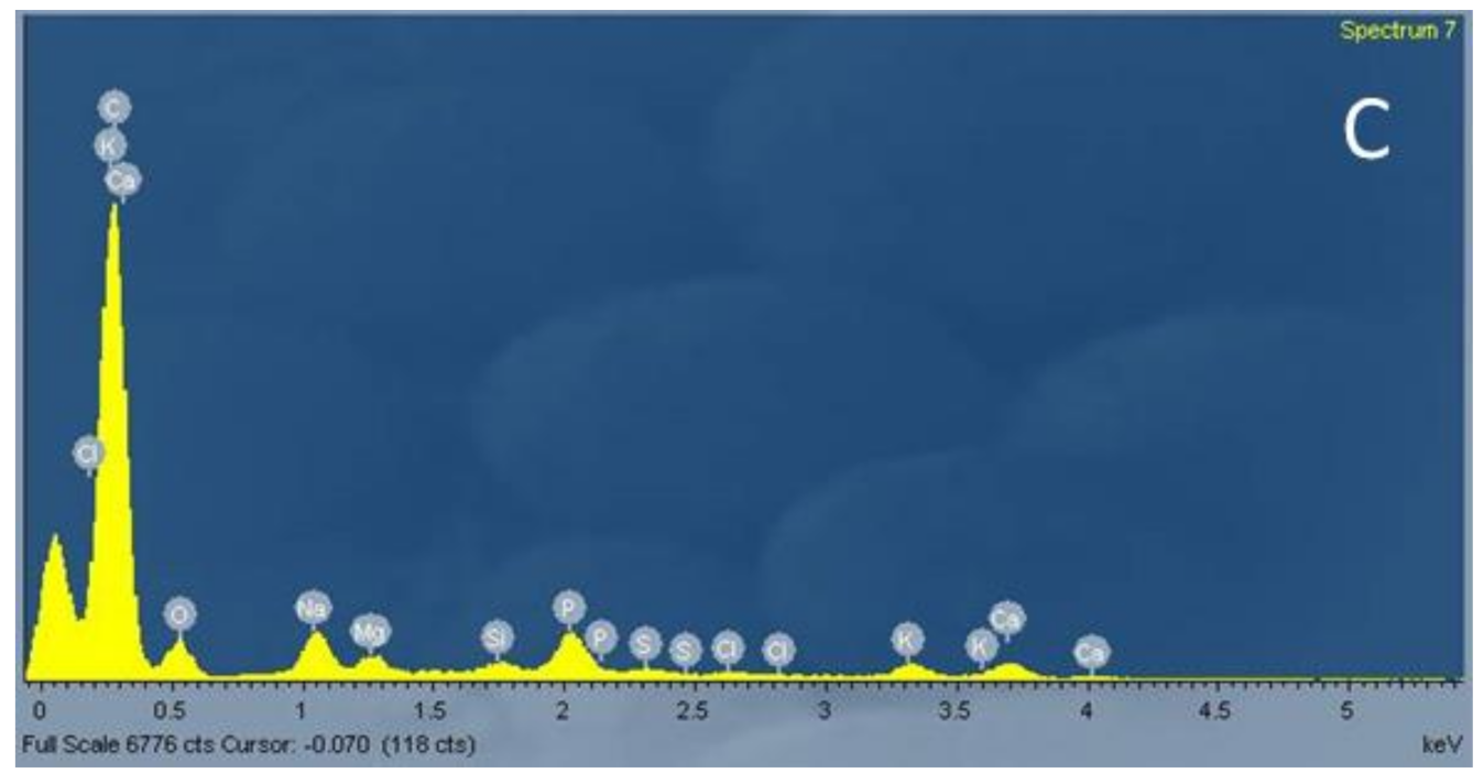 Chemosensors 09 00057 g003b Chemosensors 09 00057 g003b