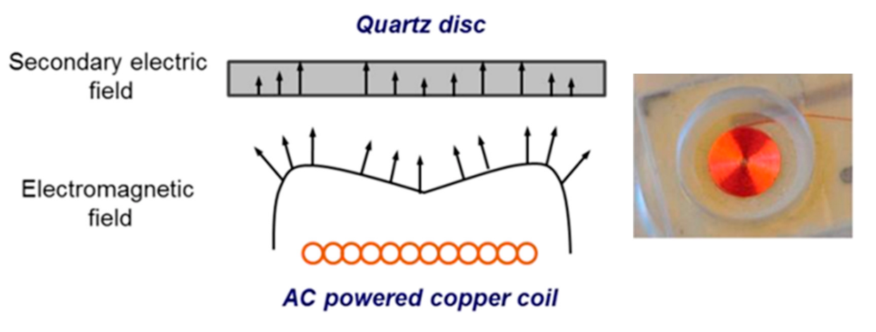 Chemosensors 09 00058 g001