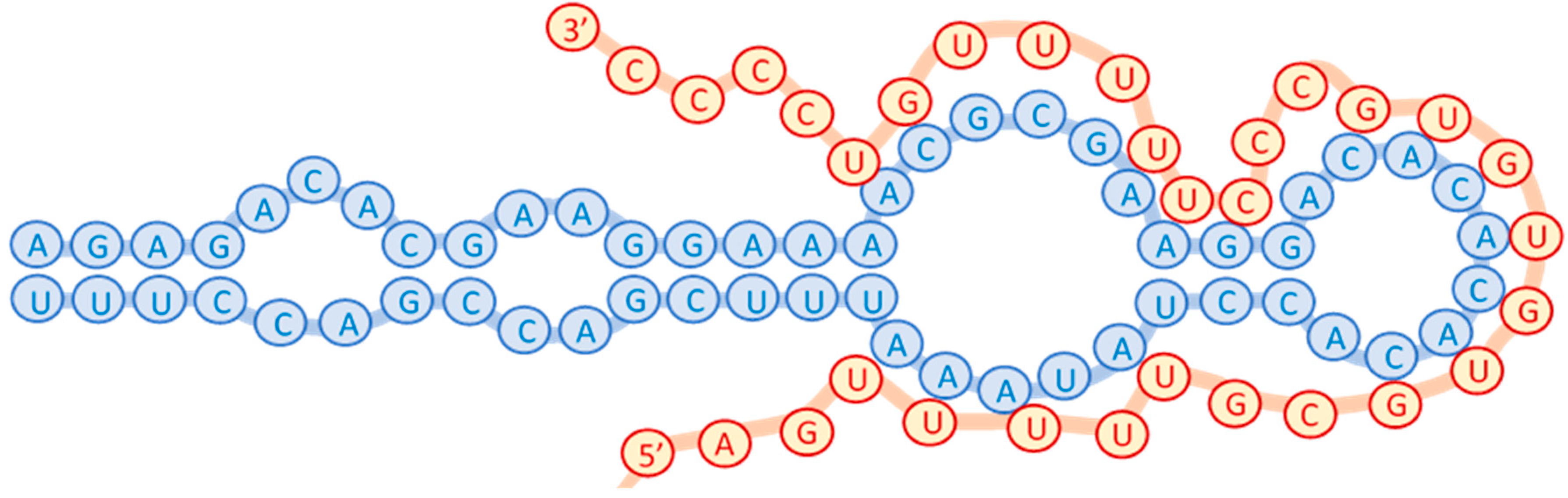 Chemosensors 09 00059 g001 Chemosensors 09 00059 g001
