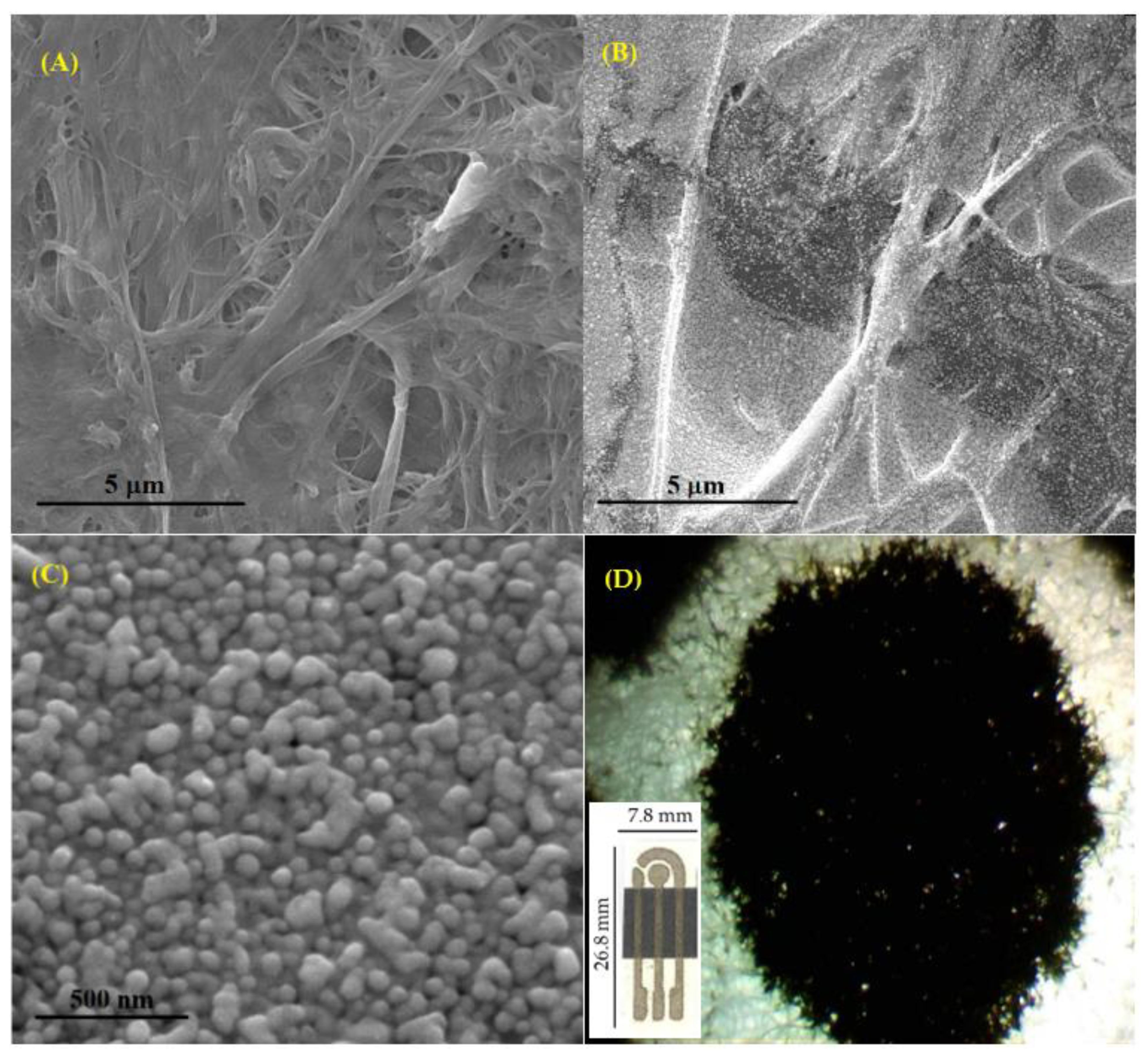Chemosensors 09 00061 g001 Chemosensors 09 00061 g001