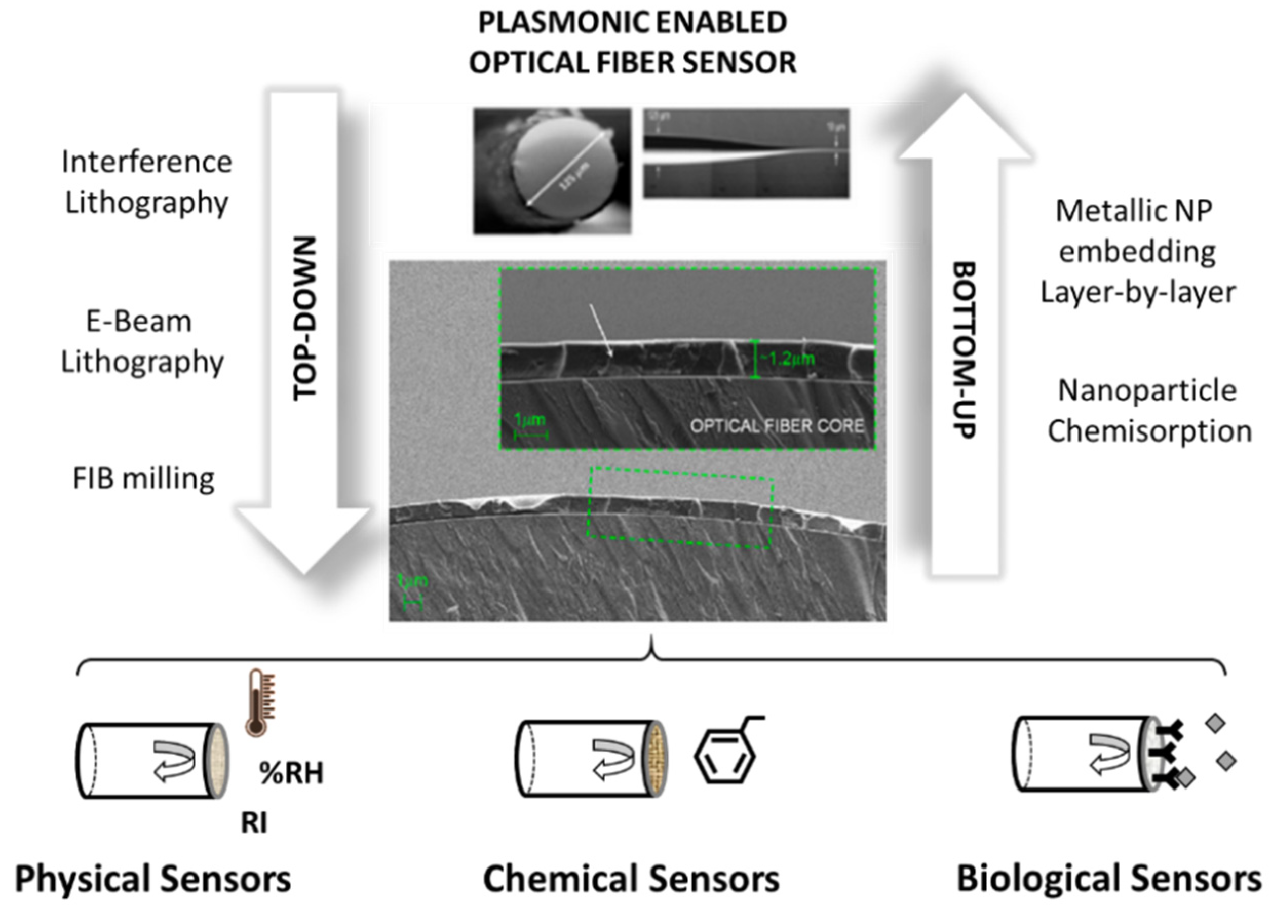 Chemosensors 09 00064 g002