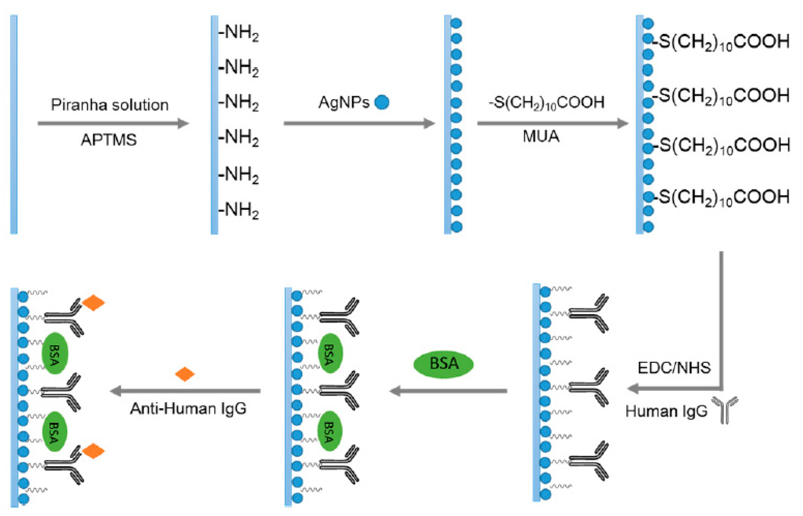 Chemosensors 09 00064 g006