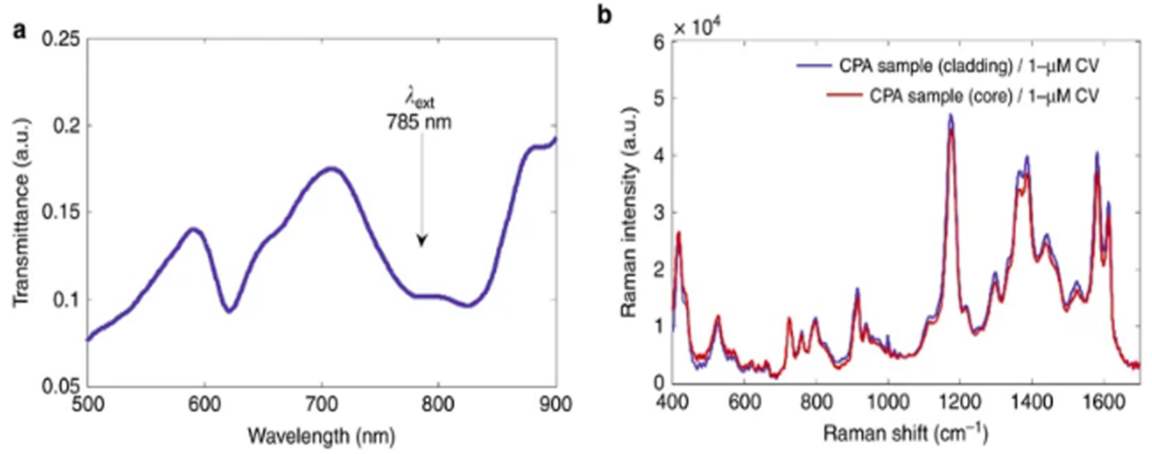 Chemosensors 09 00064 g022