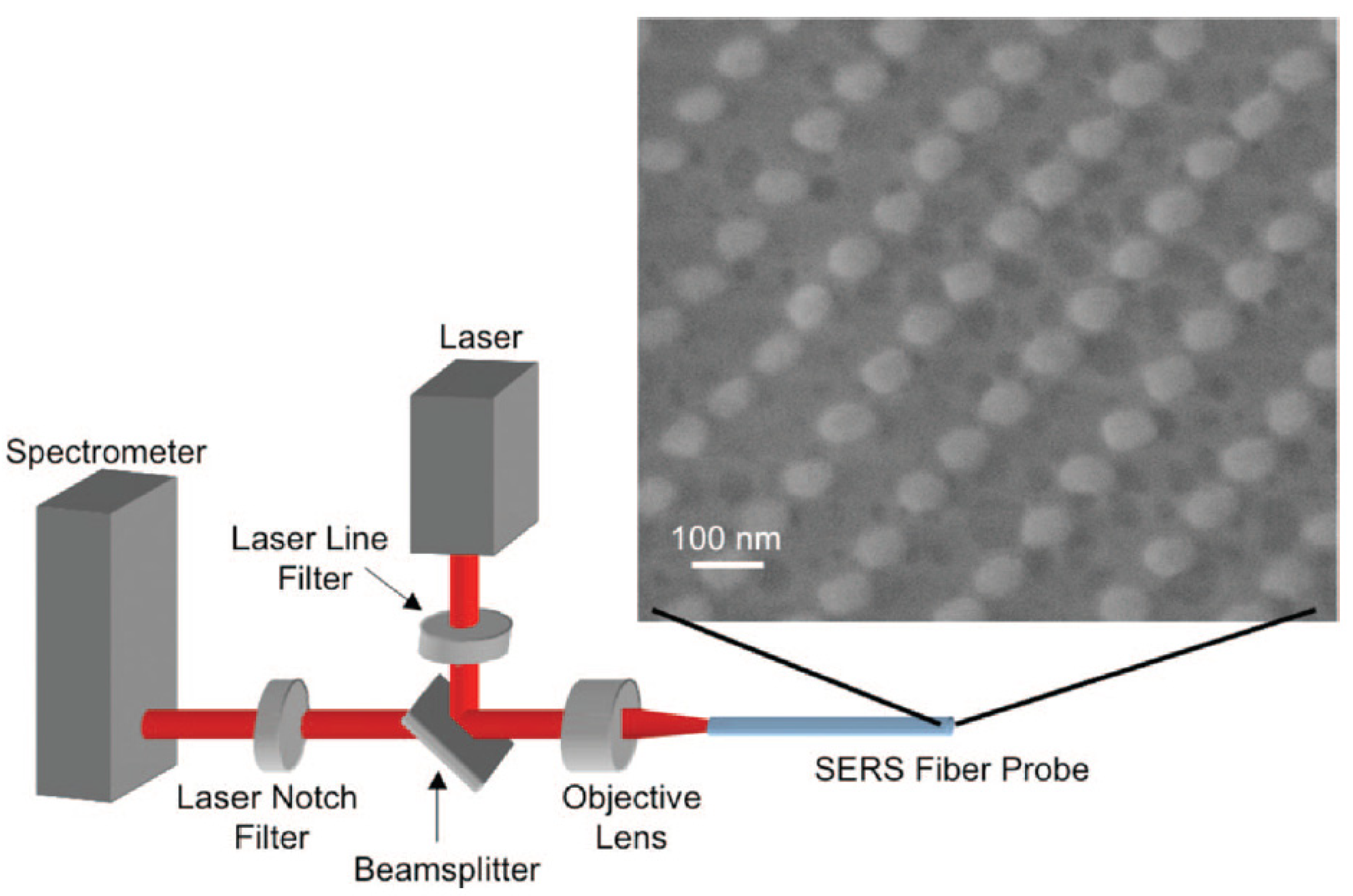 Chemosensors 09 00064 g024