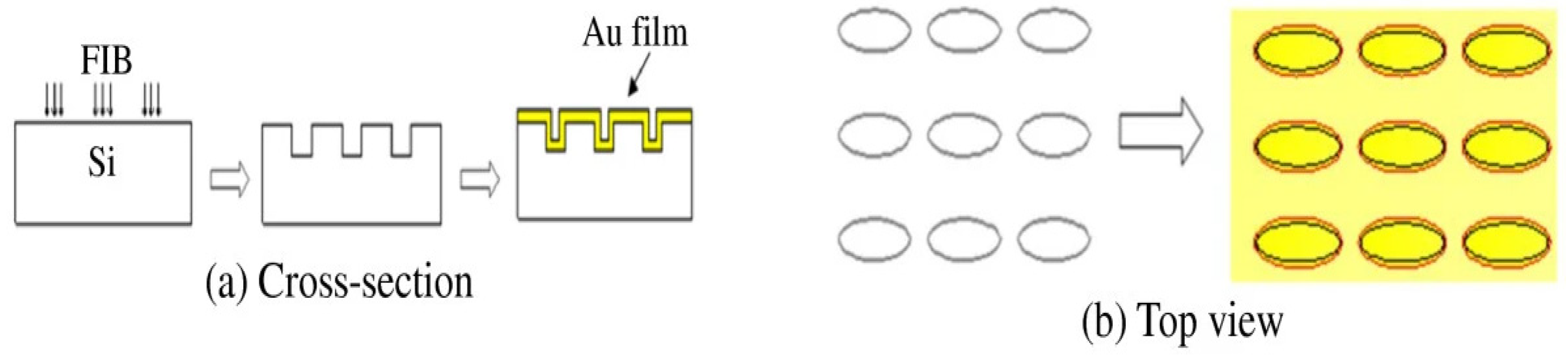 Chemosensors 09 00064 g028