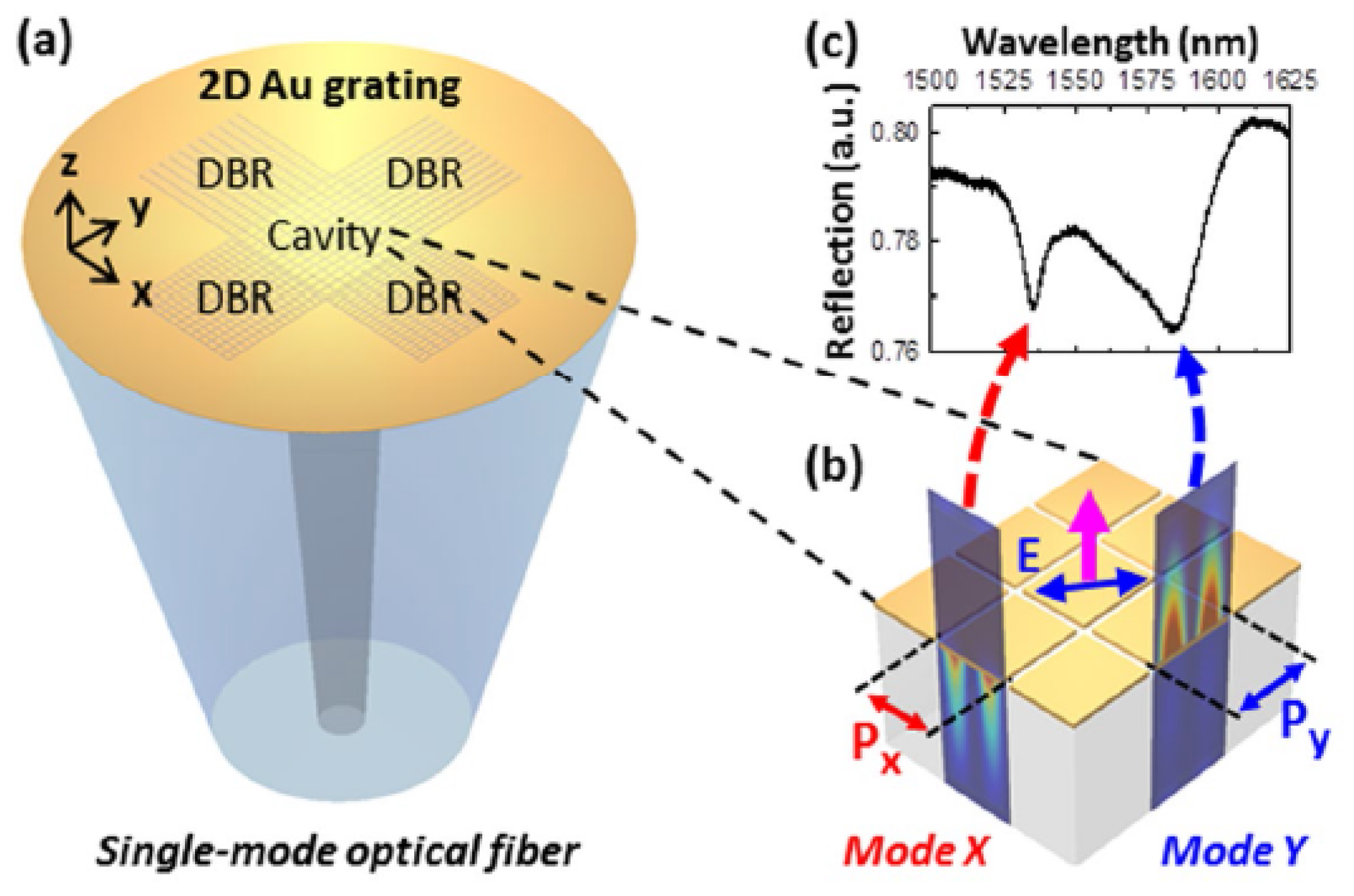 Chemosensors 09 00064 g030