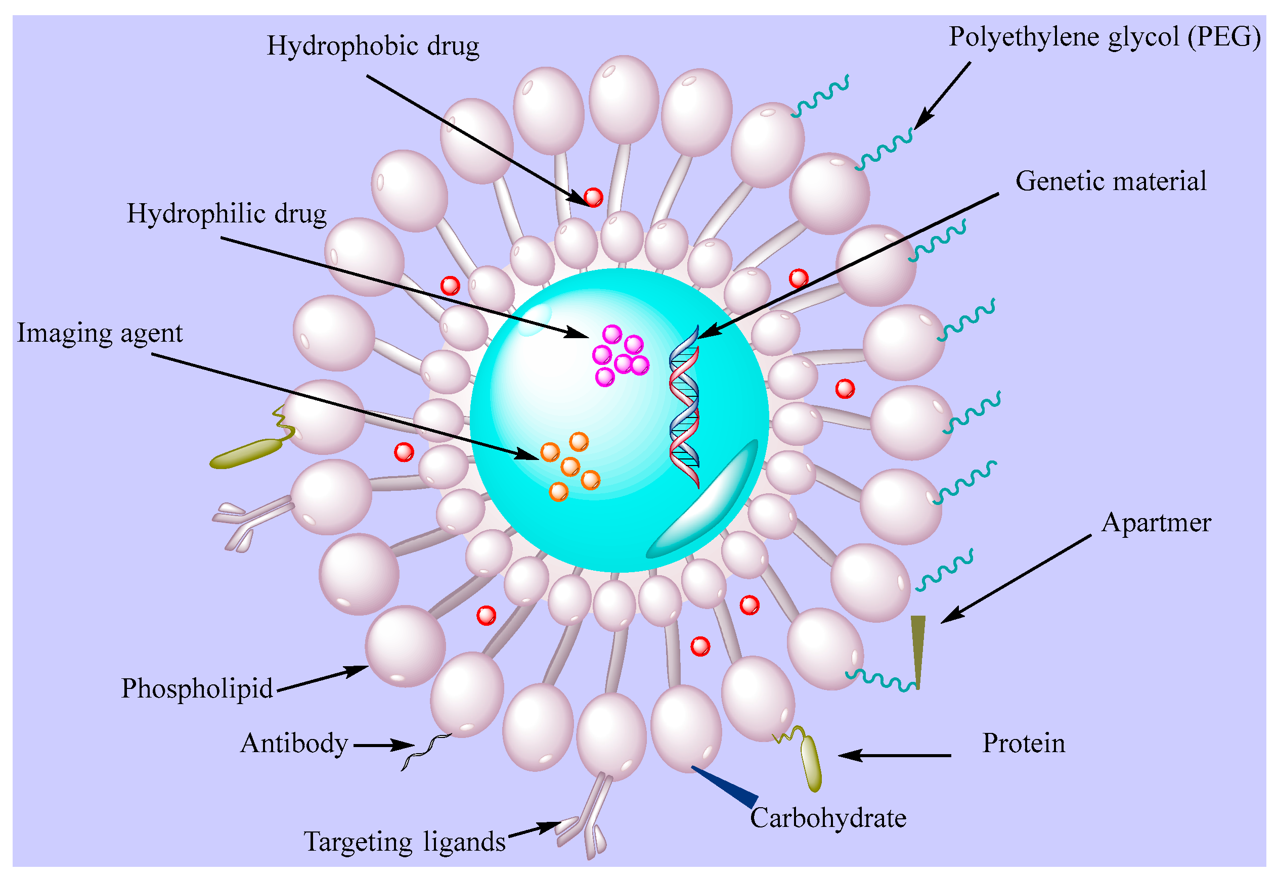 Chemosensors 09 00067 g005 Chemosensors 09 00067 g005