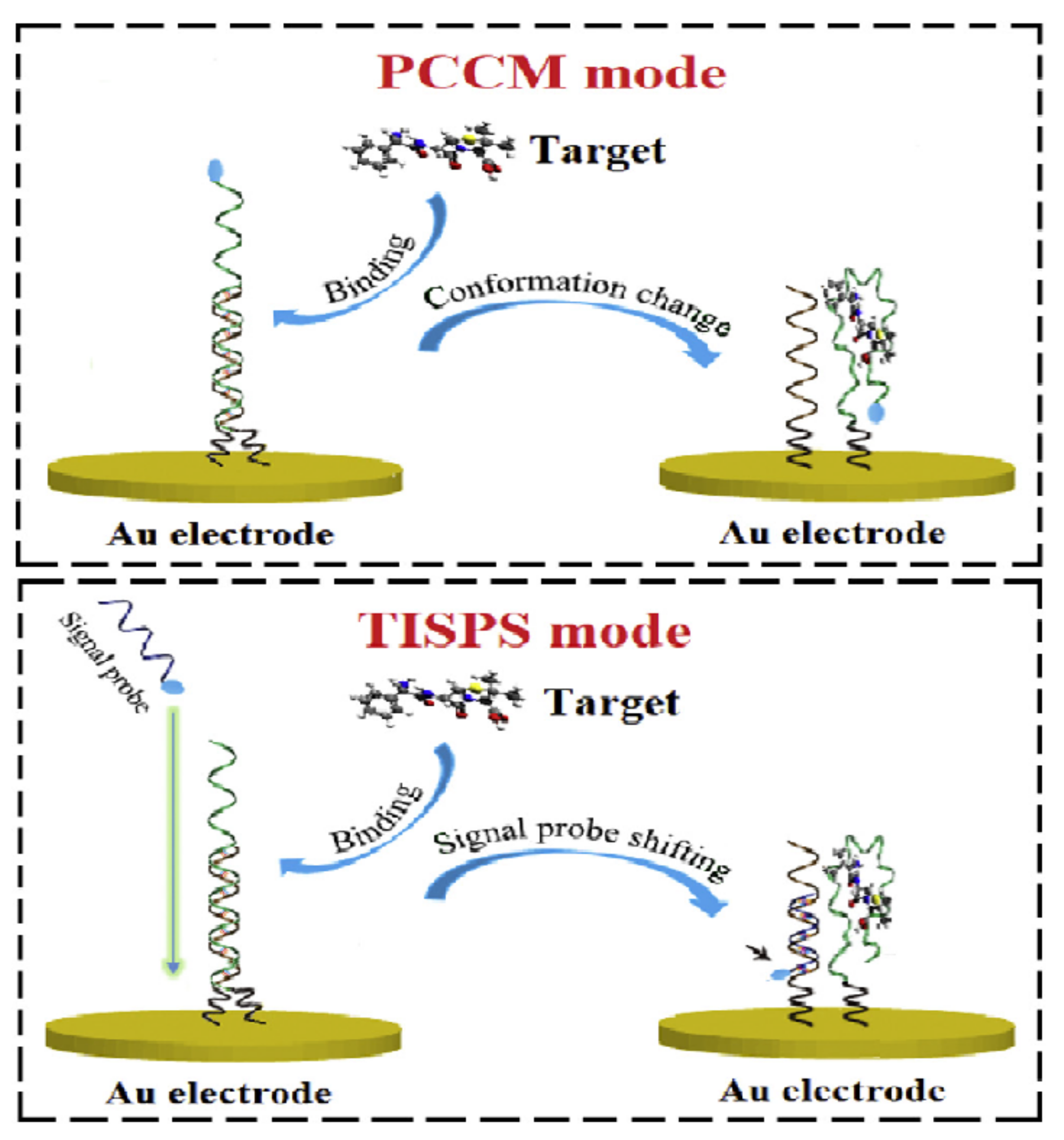 Chemosensors 09 00069 g012 Chemosensors 09 00069 g012