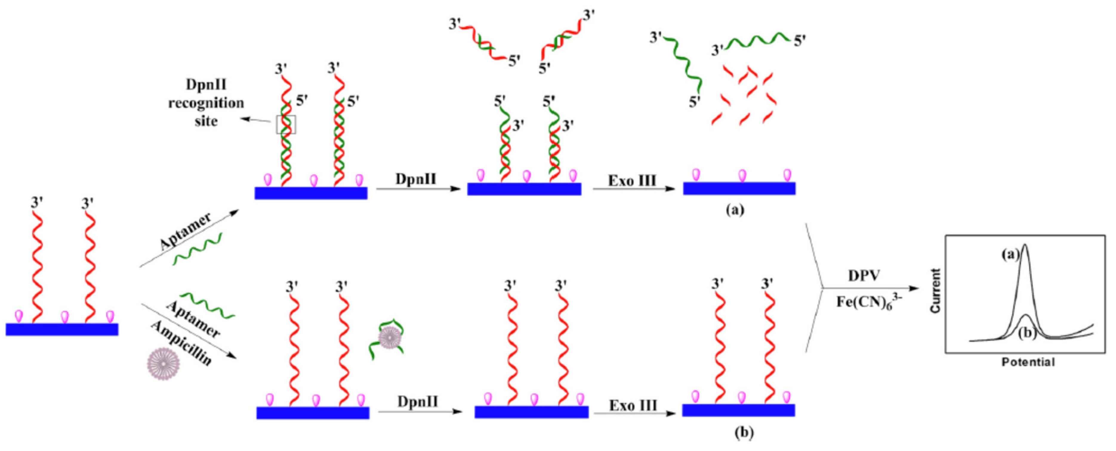 Chemosensors 09 00069 g019 Chemosensors 09 00069 g019