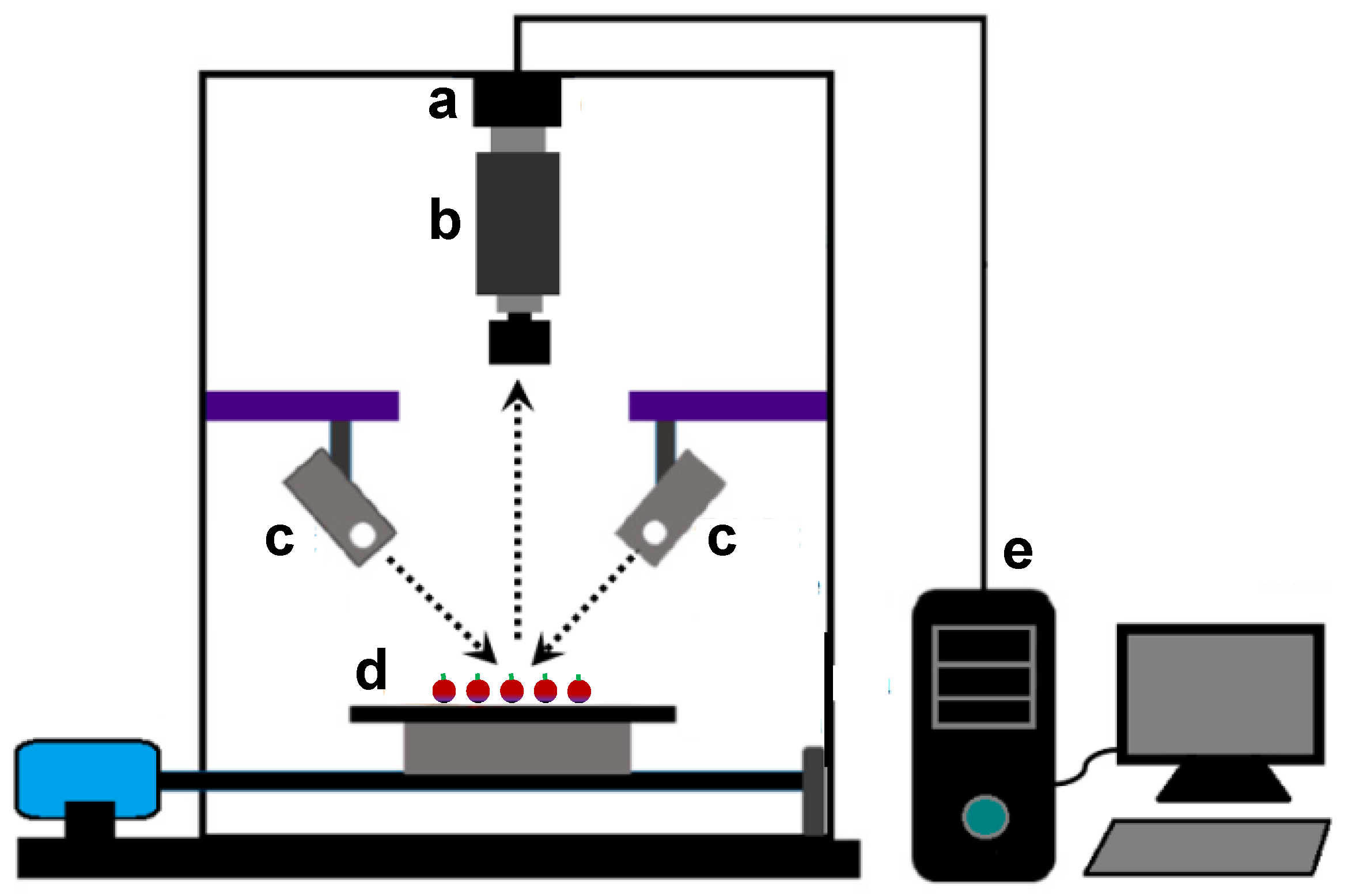 chemosensors free full text hyperspectral imaging to characterize table grapes html