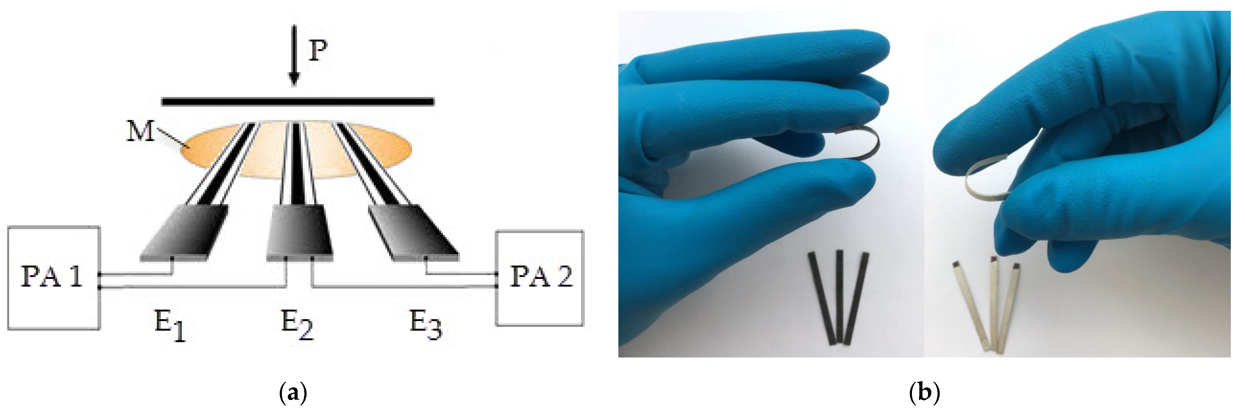 Chemosensors 09 00076 g001 Chemosensors 09 00076 g001