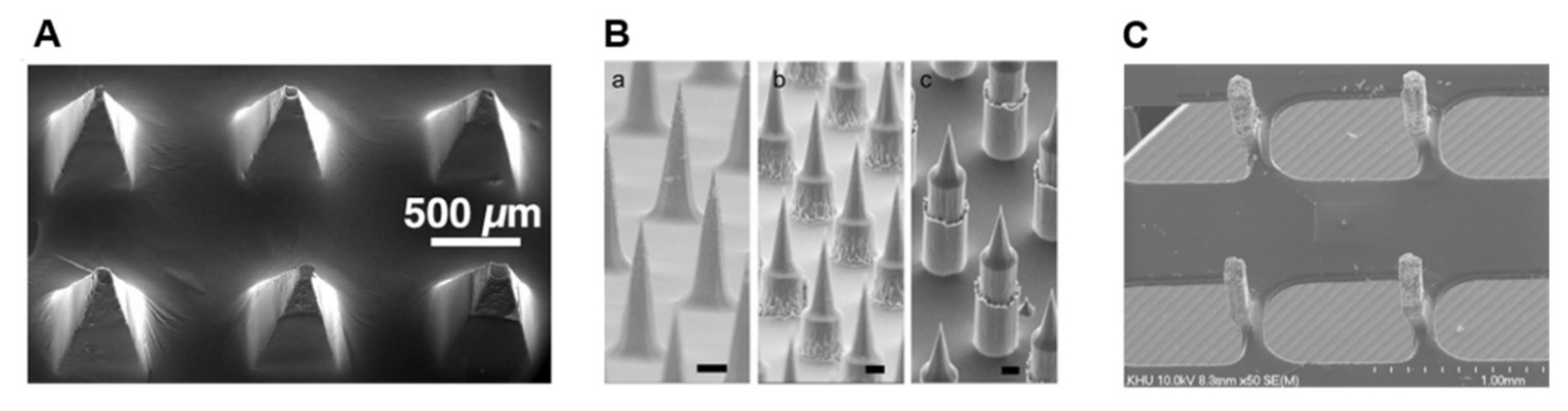 Chemosensors 09 00083 g003a Chemosensors 09 00083 g003a