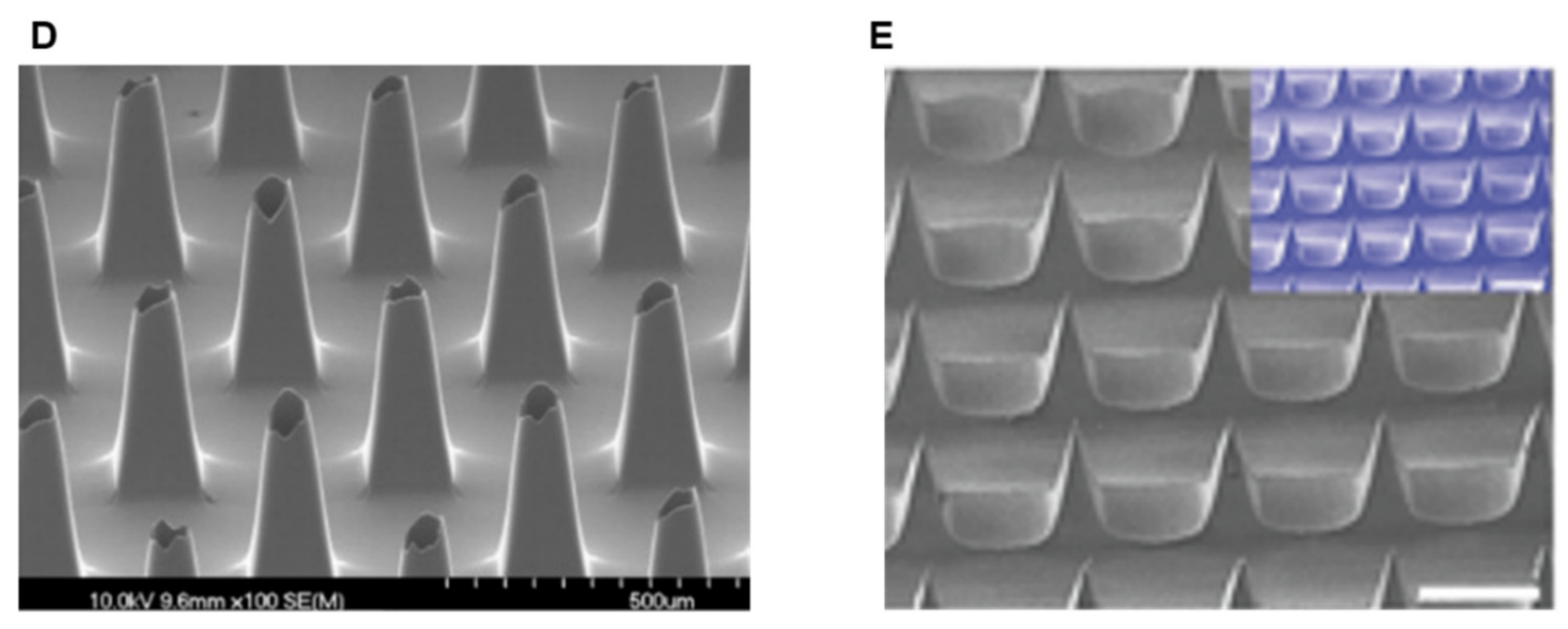 Chemosensors 09 00083 g003b Chemosensors 09 00083 g003b