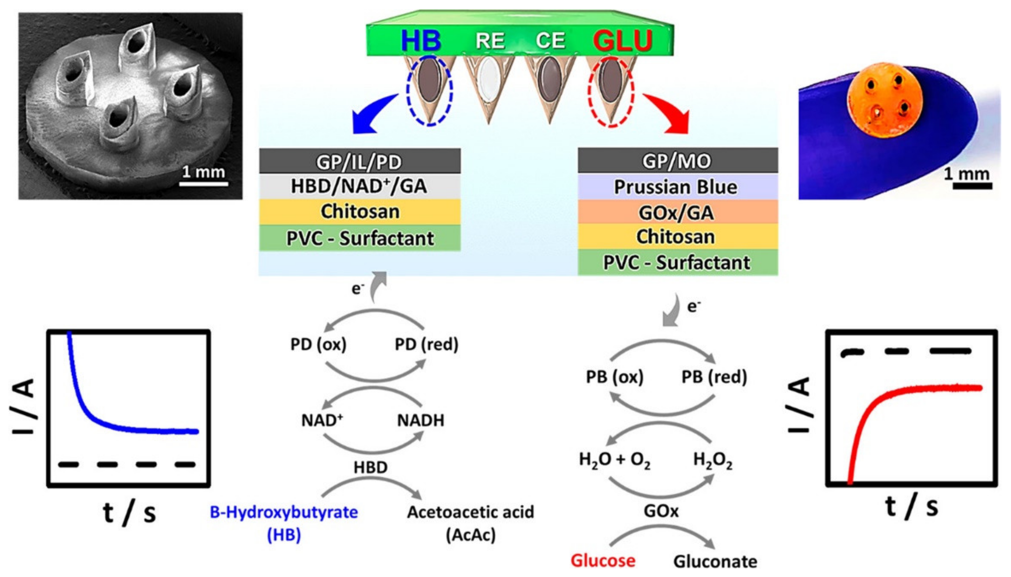 Chemosensors 09 00083 g007 Chemosensors 09 00083 g007