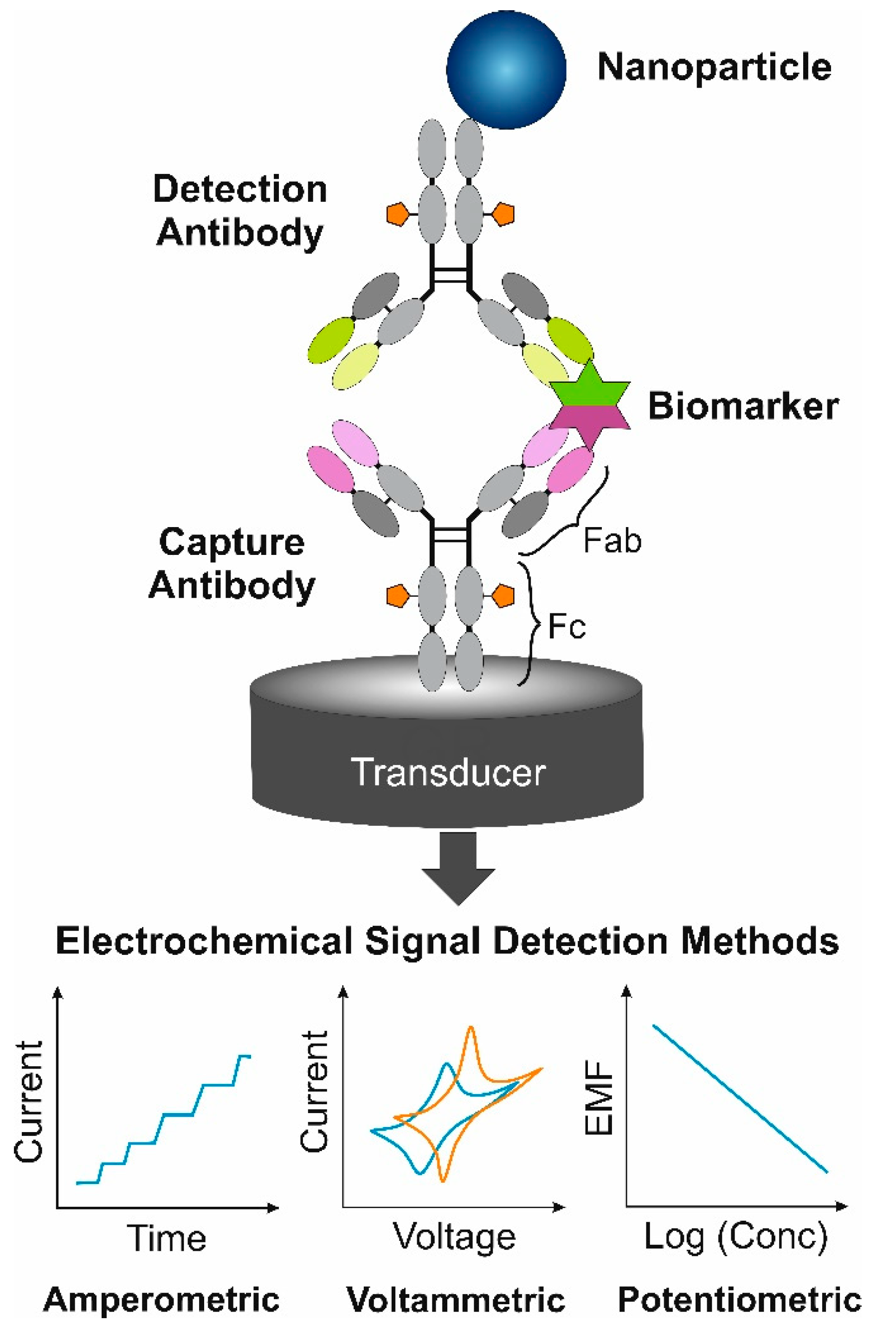 Chemosensors 09 00085 g001 Chemosensors 09 00085 g001