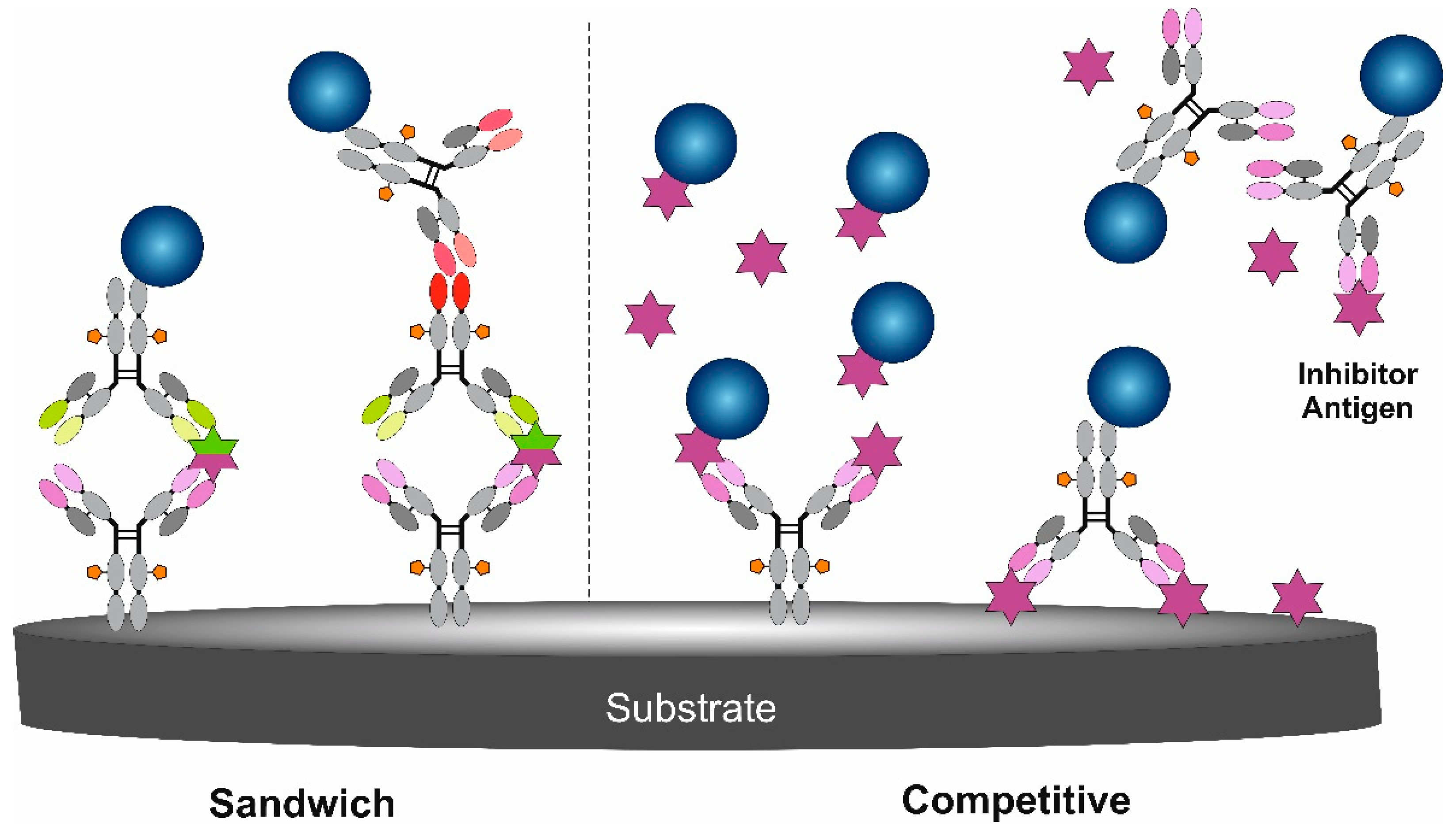 Chemosensors 09 00085 g002 Chemosensors 09 00085 g002