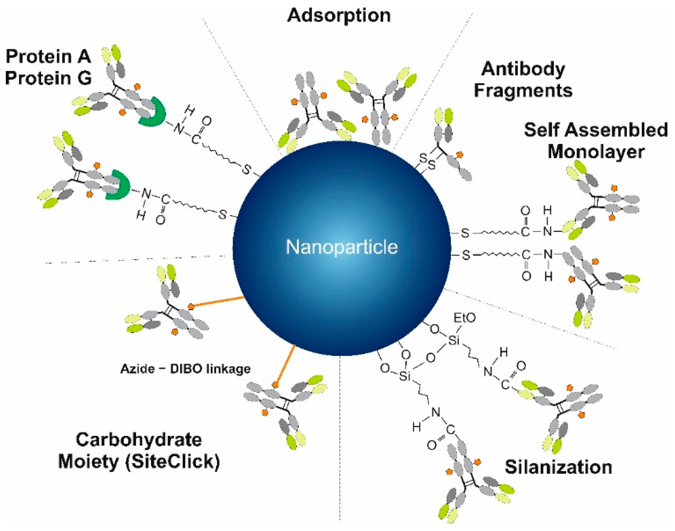 Chemosensors 09 00085 g003 Chemosensors 09 00085 g003