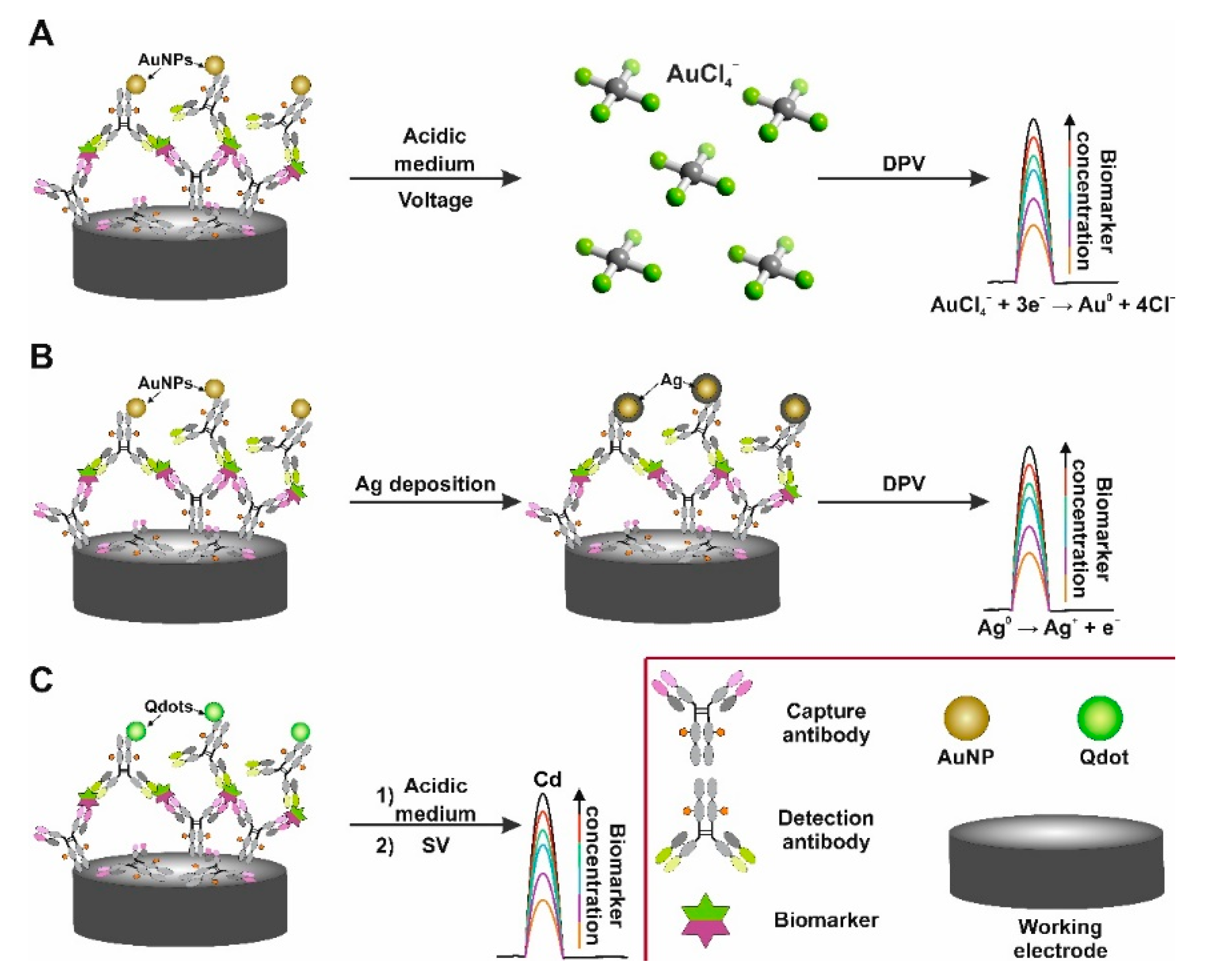 Chemosensors 09 00085 g006 Chemosensors 09 00085 g006