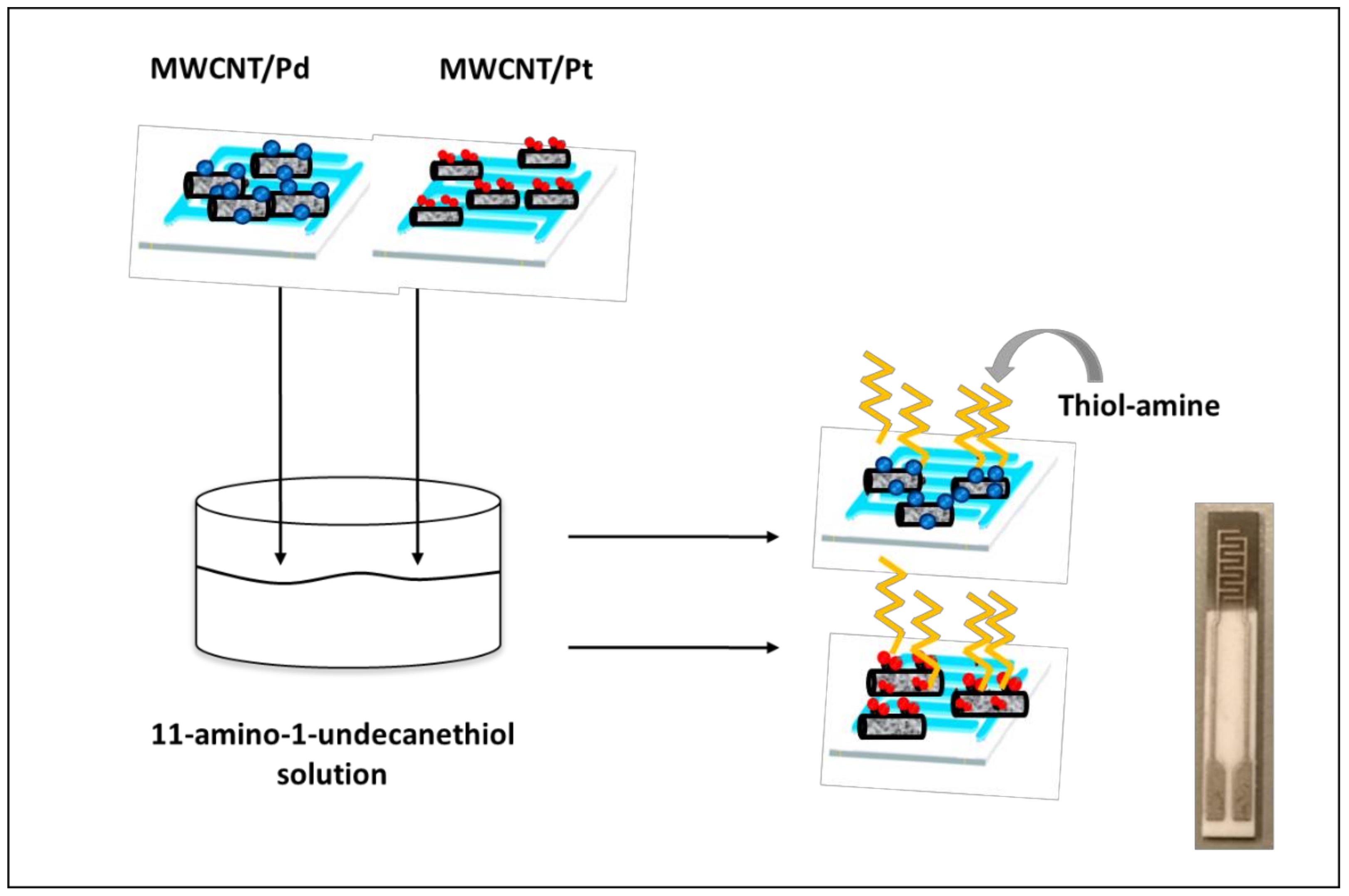 Chemosensors 09 00087 g001