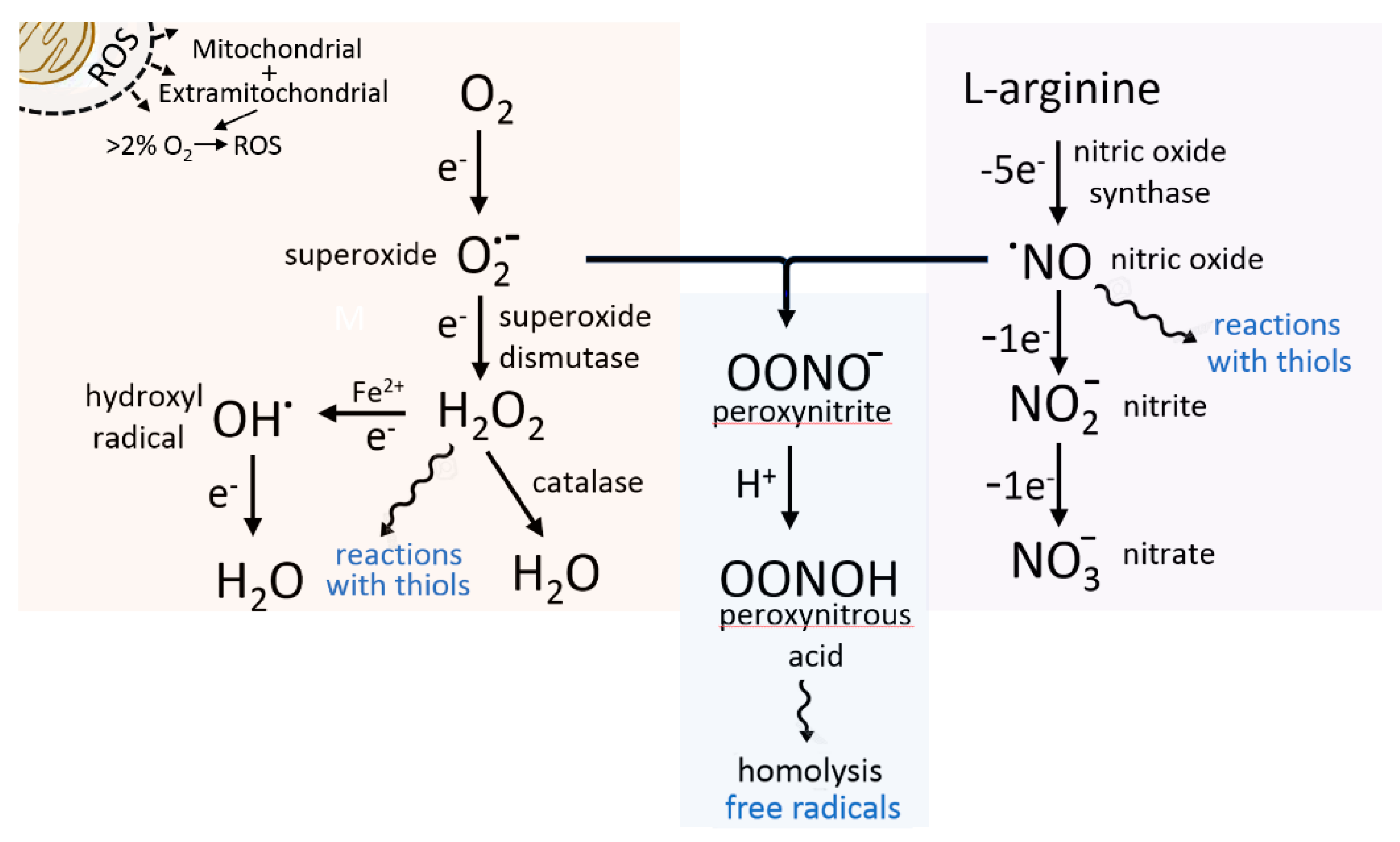 Chemosensors 09 00089 g001 Chemosensors 09 00089 g001