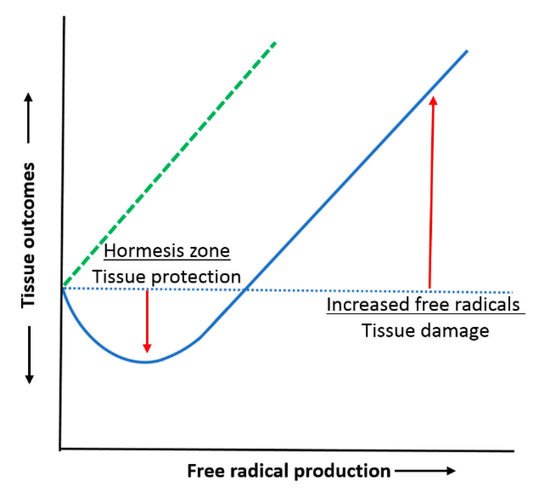 Chemosensors 09 00089 g002 Chemosensors 09 00089 g002