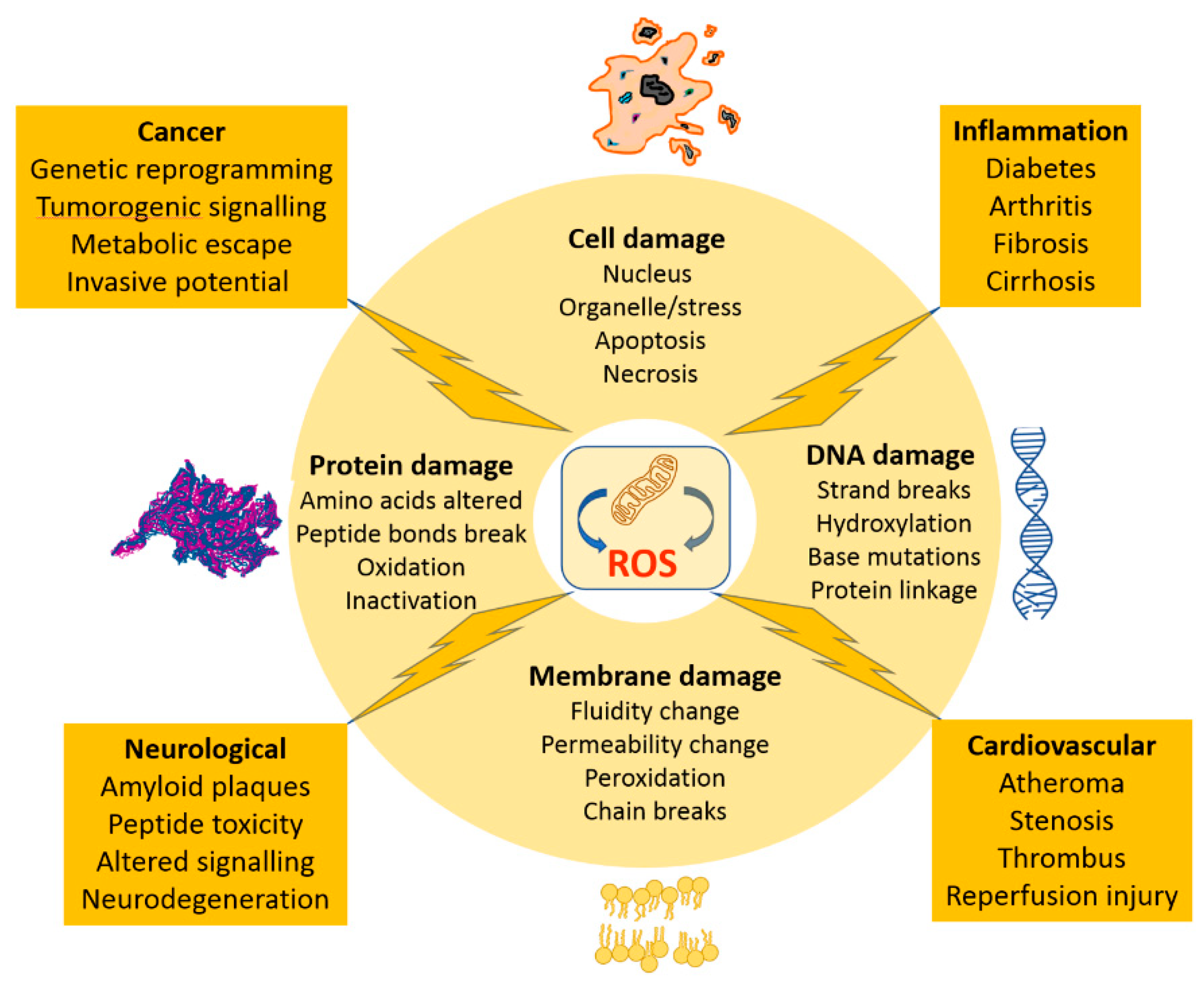 Chemosensors 09 00089 g005 Chemosensors 09 00089 g005