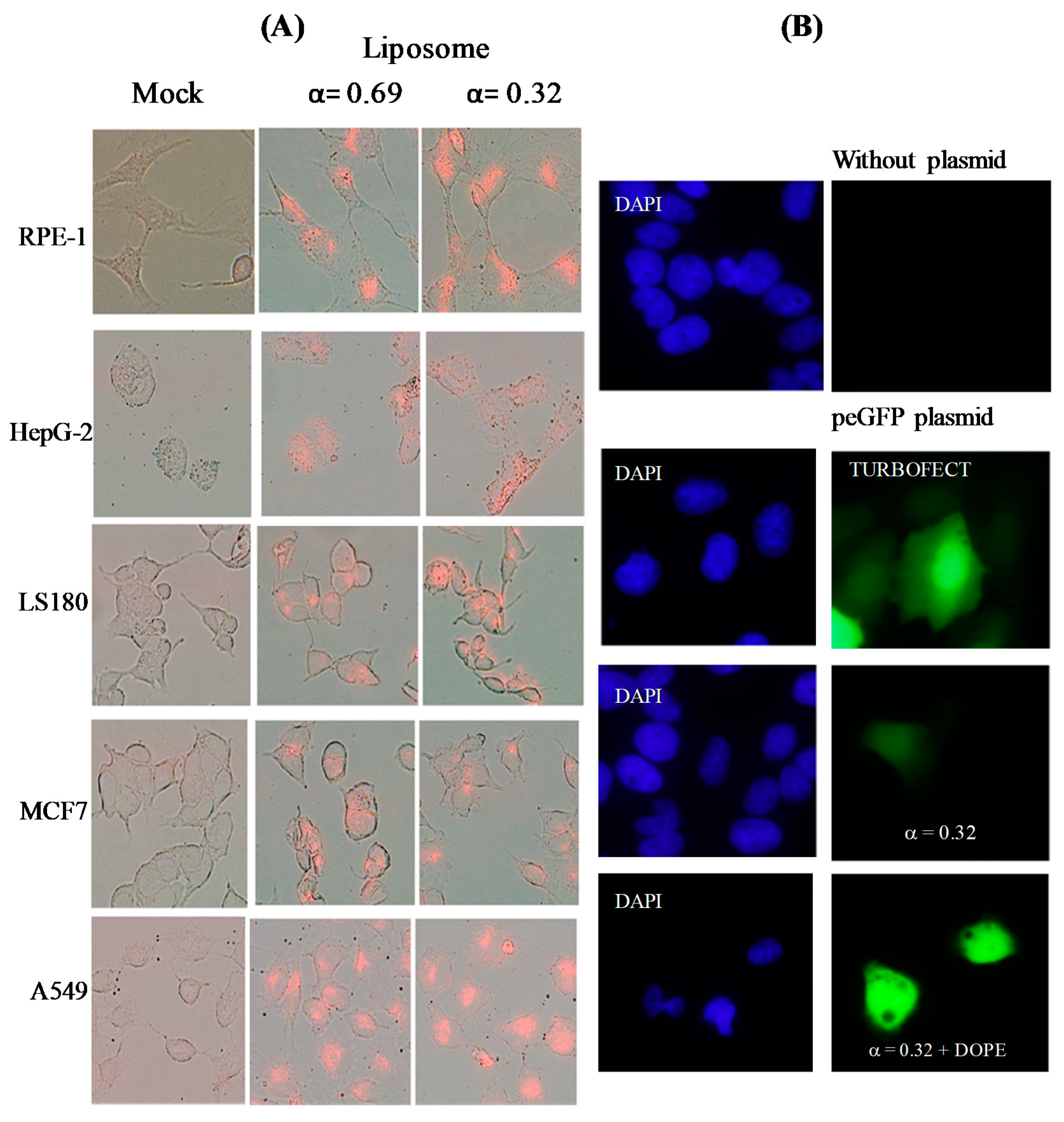 Chemosensors 09 00090 g006 Chemosensors 09 00090 g006