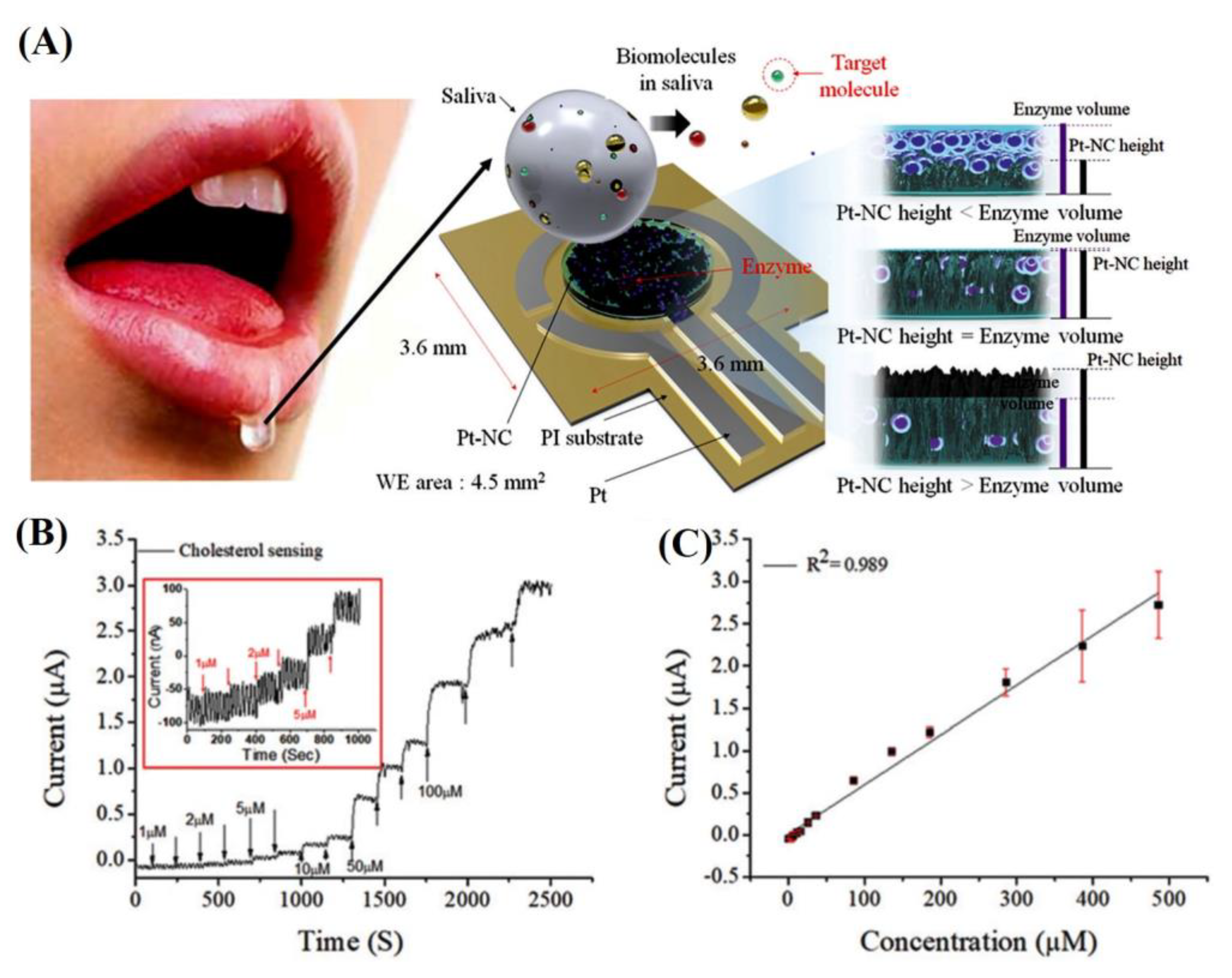 Chemosensors 09 00098 g004