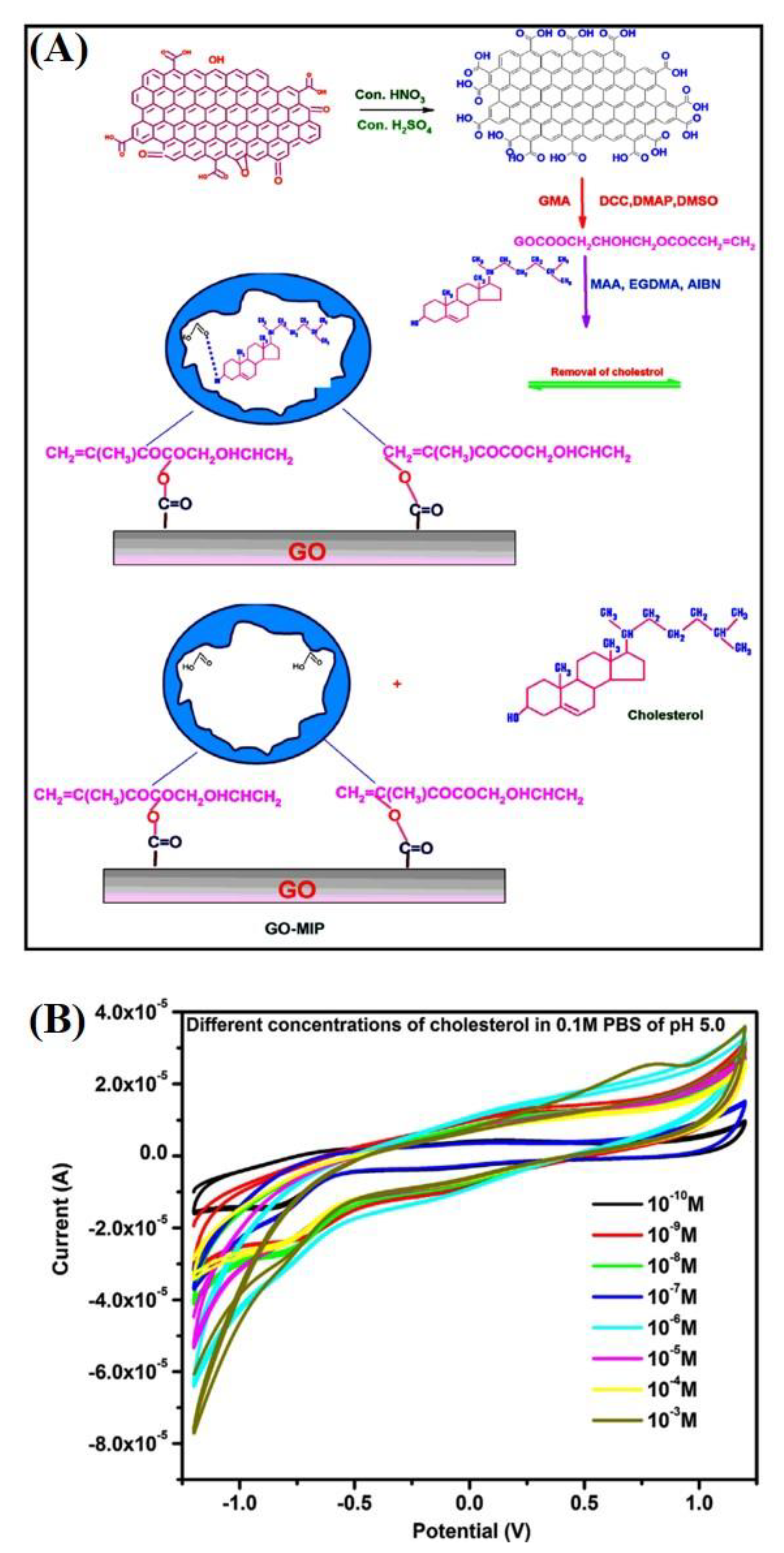 Chemosensors 09 00098 g006