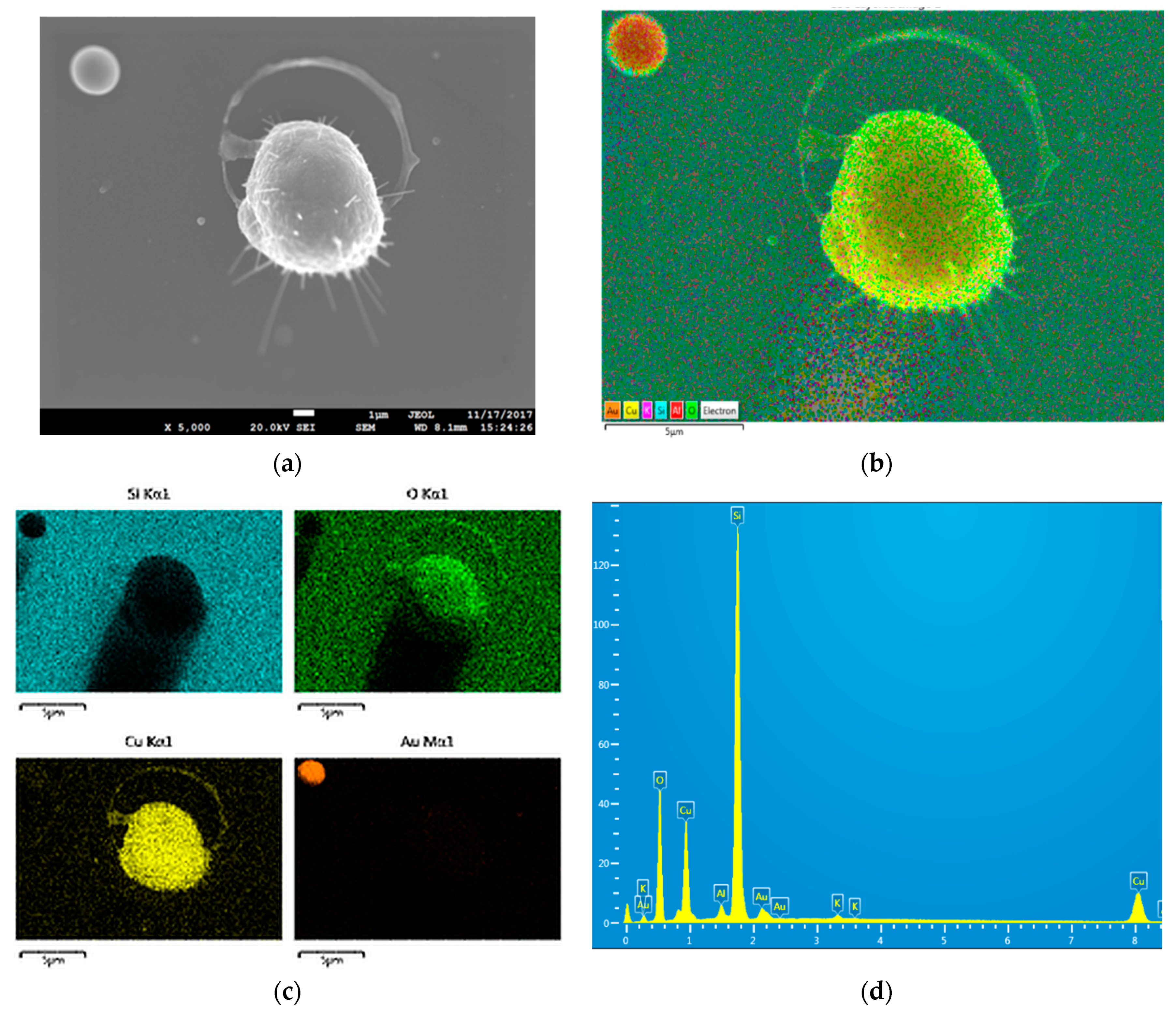 Chemosensors 09 00099 g005