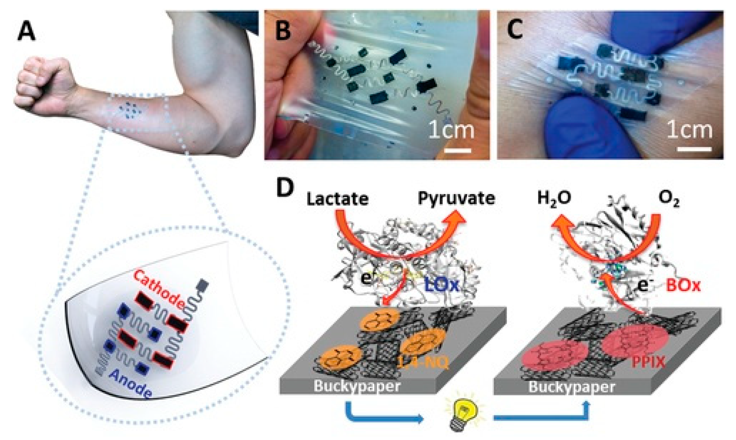 Chemosensors Free Full Text Advances In Wearable Chemosensors