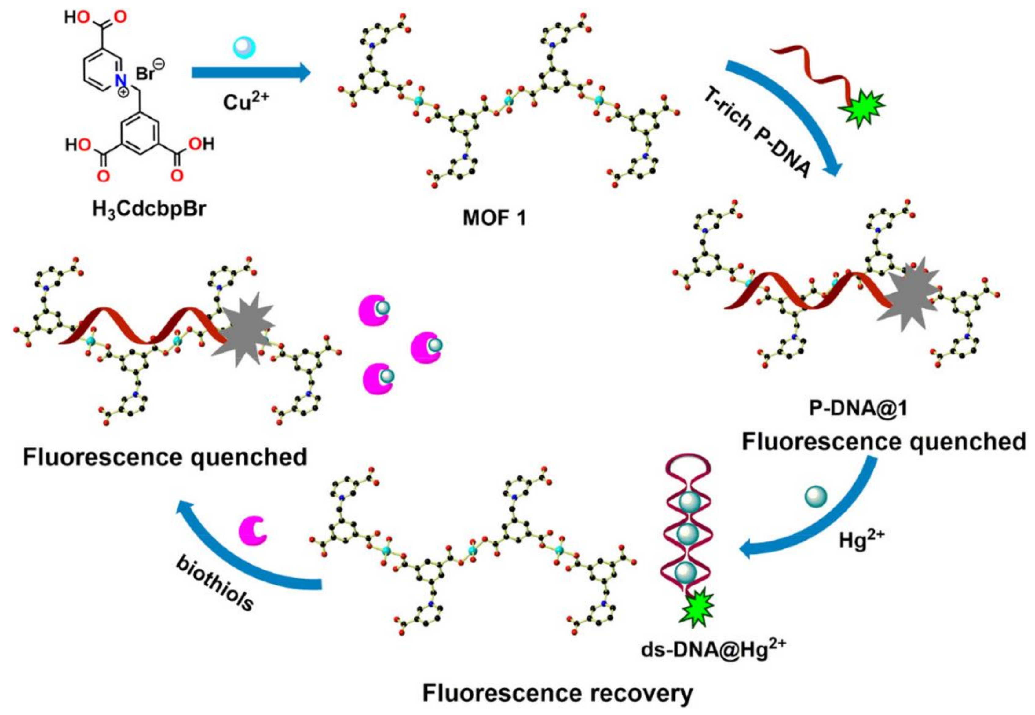 Chemosensors 09 00101 g006 Chemosensors 09 00101 g006
